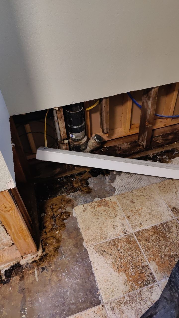 Water Damage and Mold Remediation by Accountable Home Services
