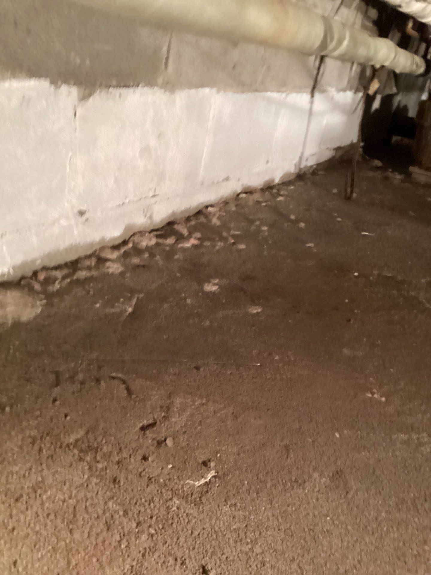 Crawlspace cleaning by Newhouse Restoration