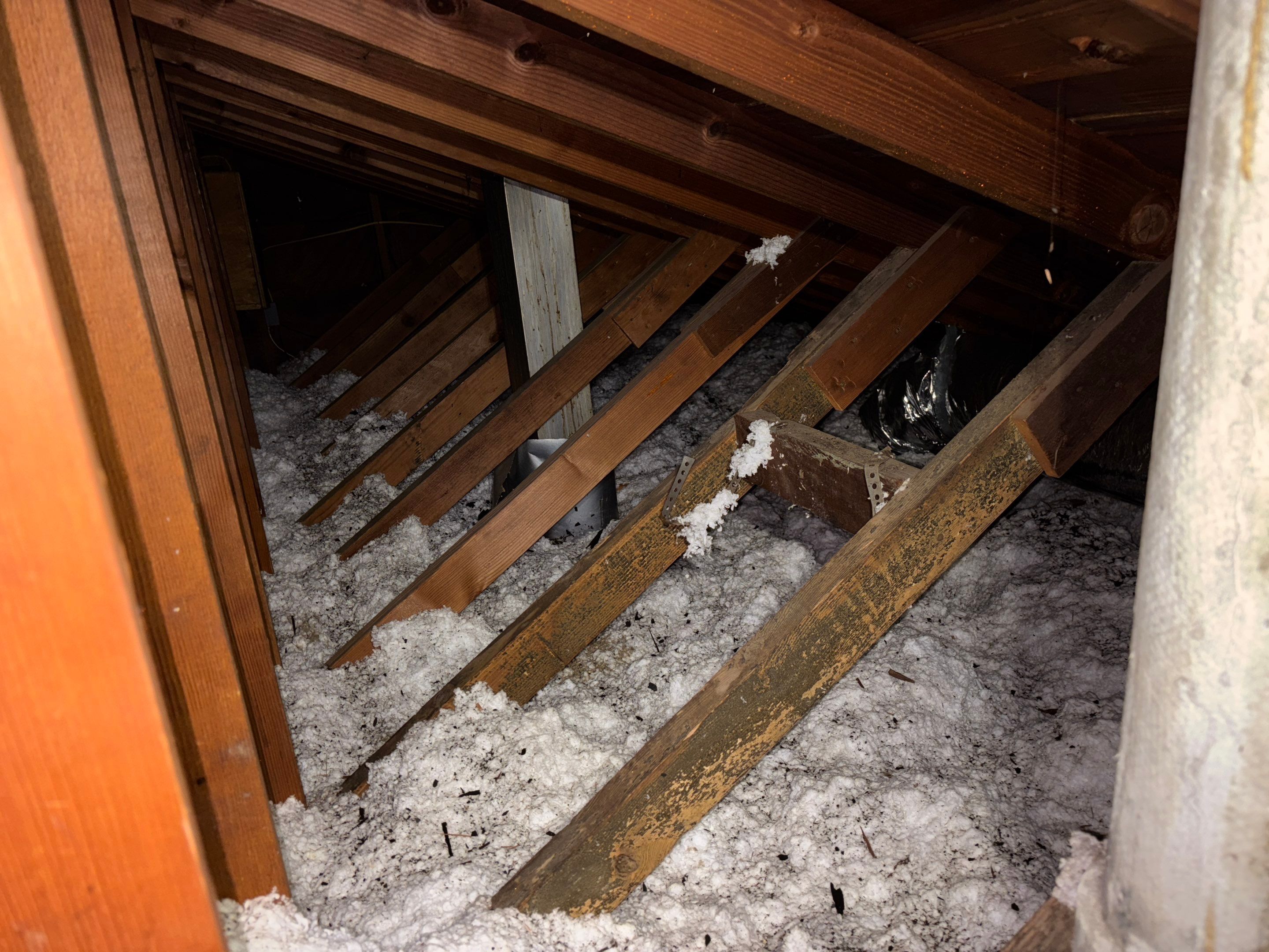 Project in Inglewood by Insulation Labs
