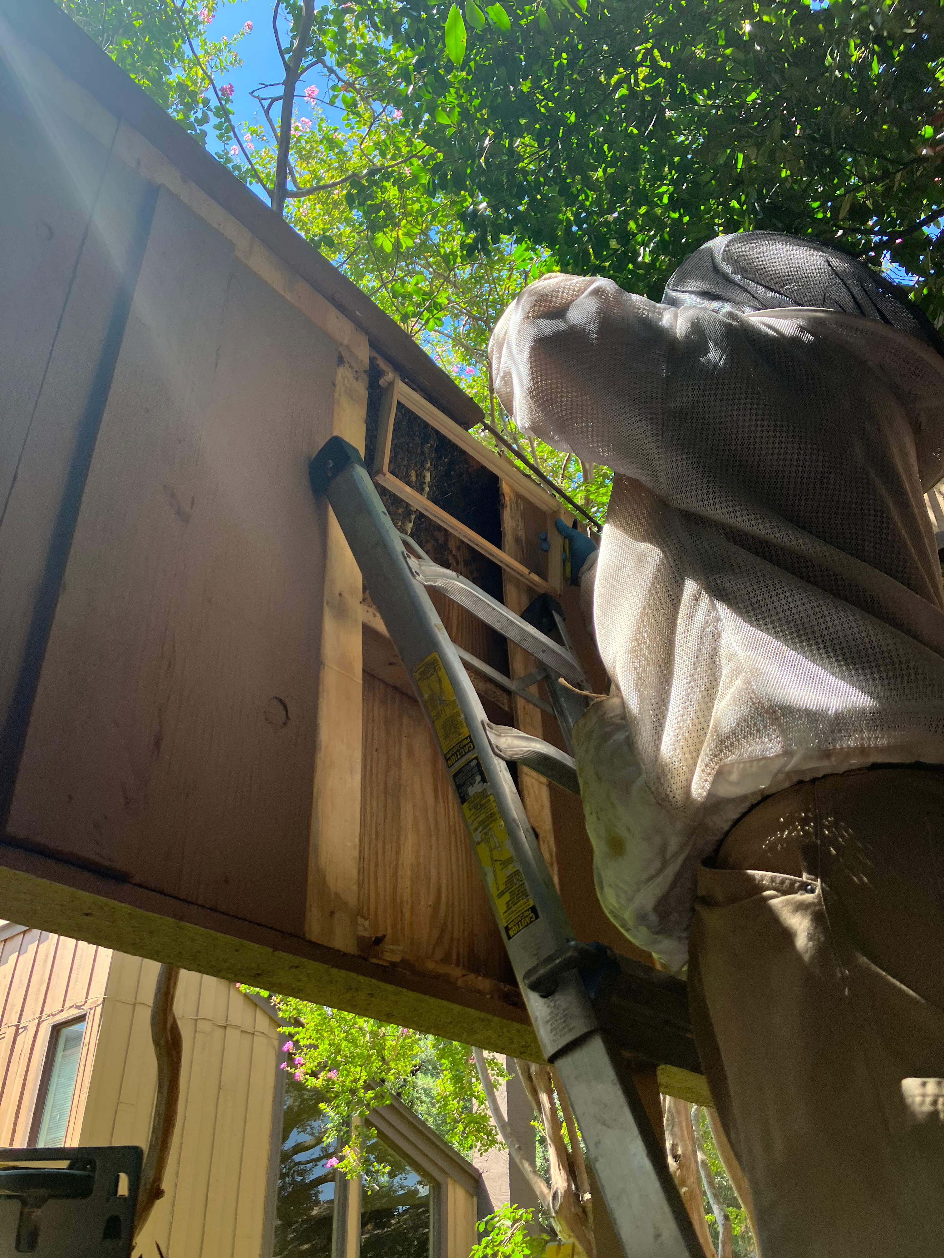 Condo Patio by Rockwall Honey Bee Company