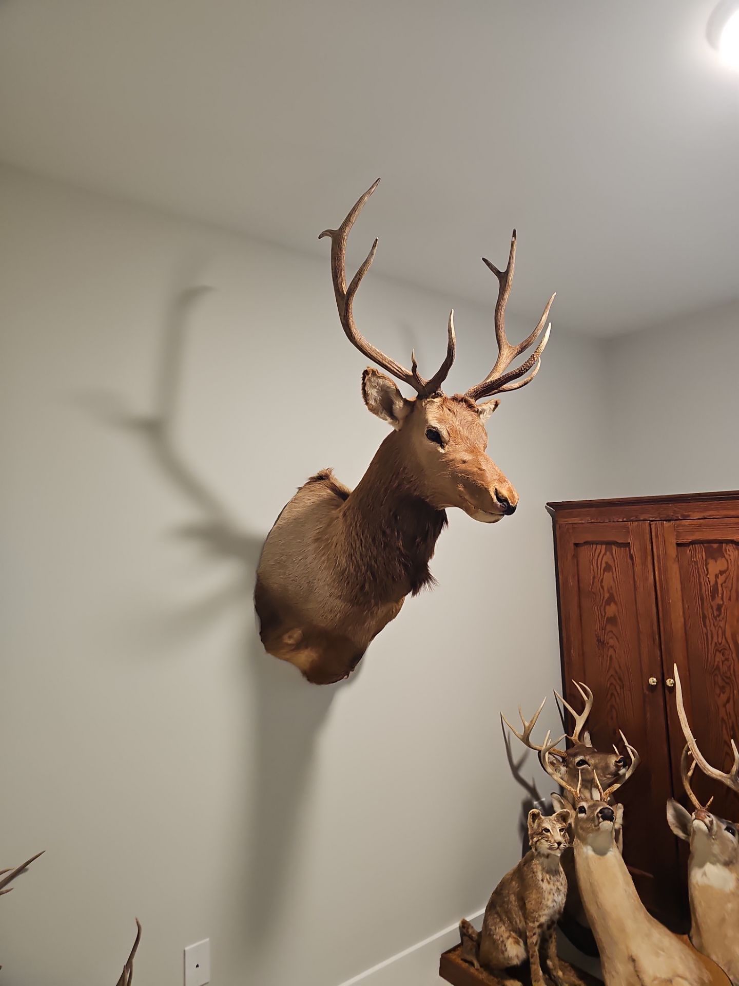 Professional Hanging Services by Hangman Mounting & Installation