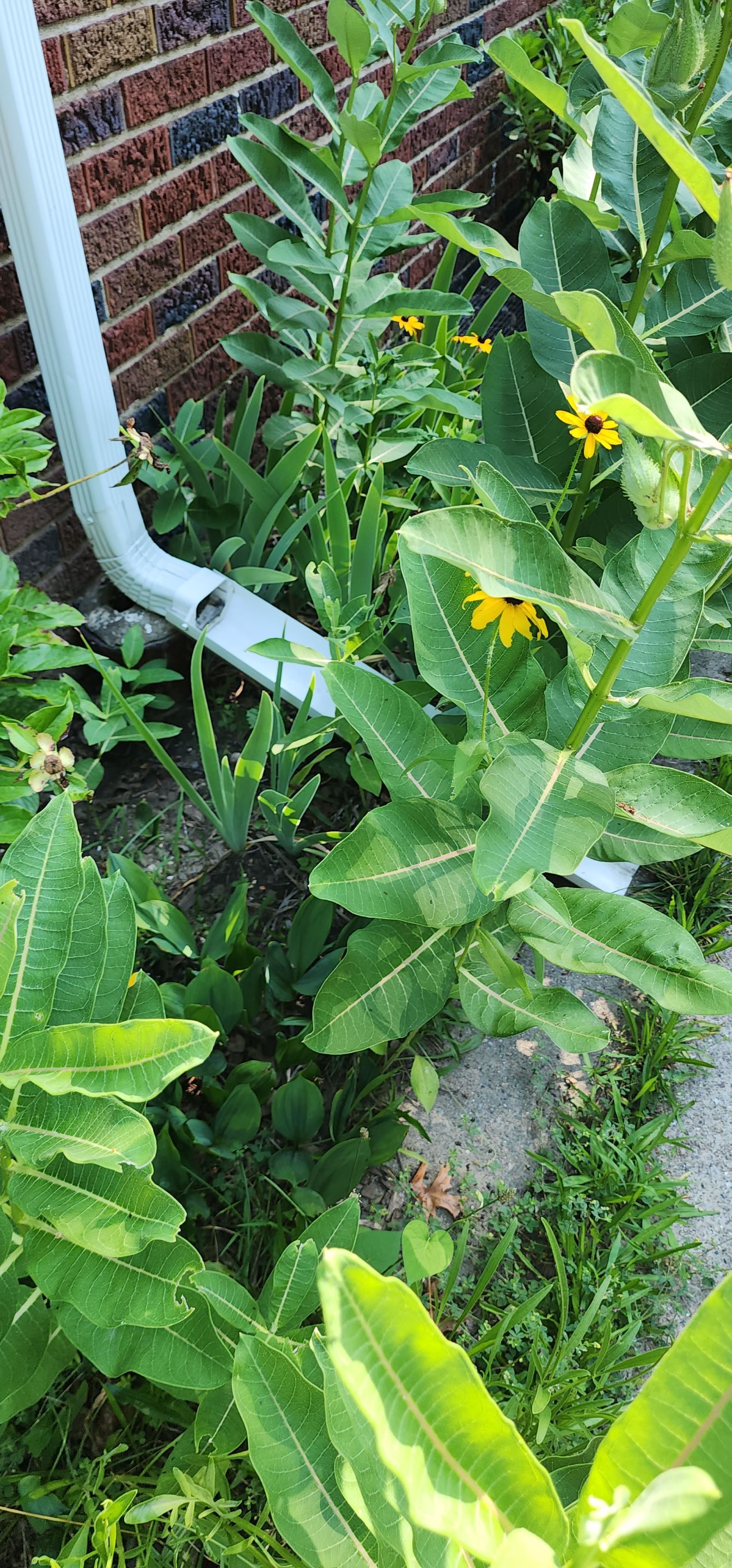 Interior Waterproofing by Toledo Basement Repair 