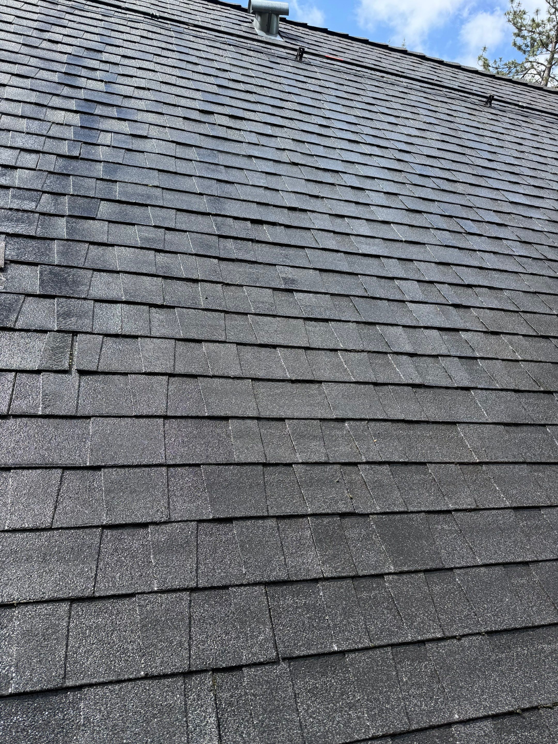Roof Rejuvenation using Roof Maxx Treatment by Roof Maxx of Folsom
