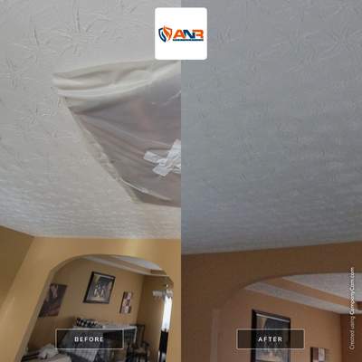 Finished Repairs on Mold Project in Louisville, KY