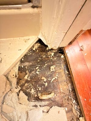 Shower Remodel due to Water Intrusion