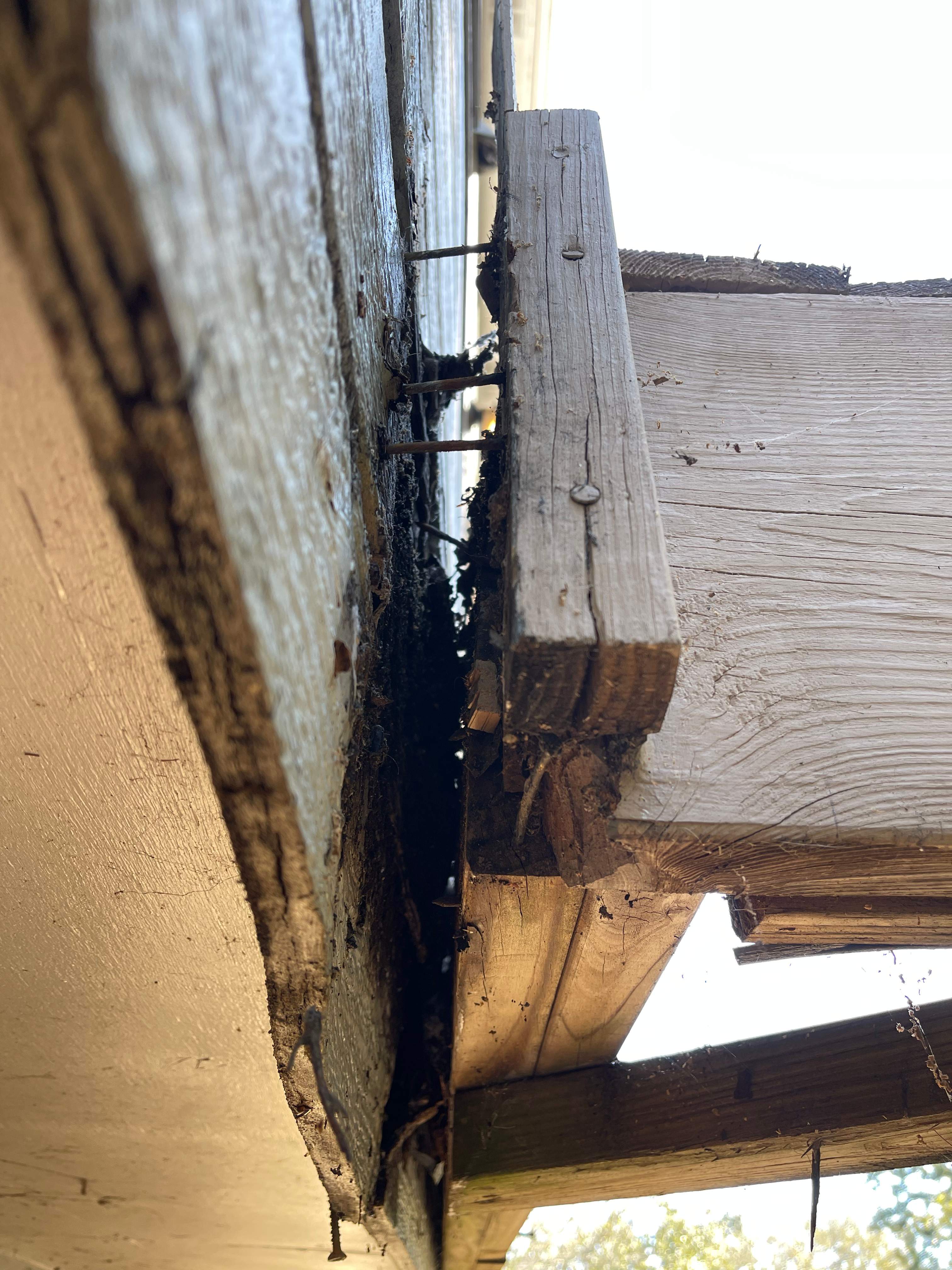 Balmoral Estates Screened Deck  by Pillar and Pine