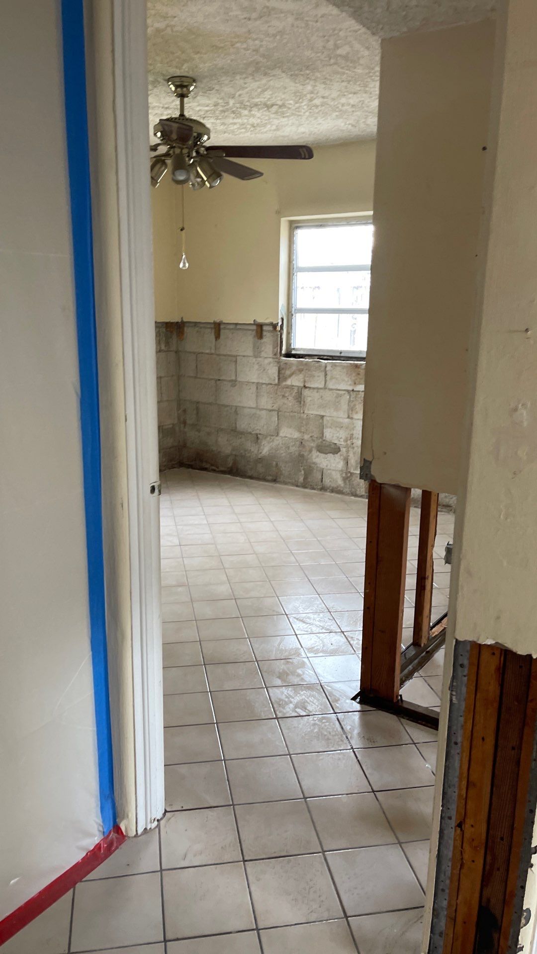 Mold Remediation  by THE RAPID TEAM