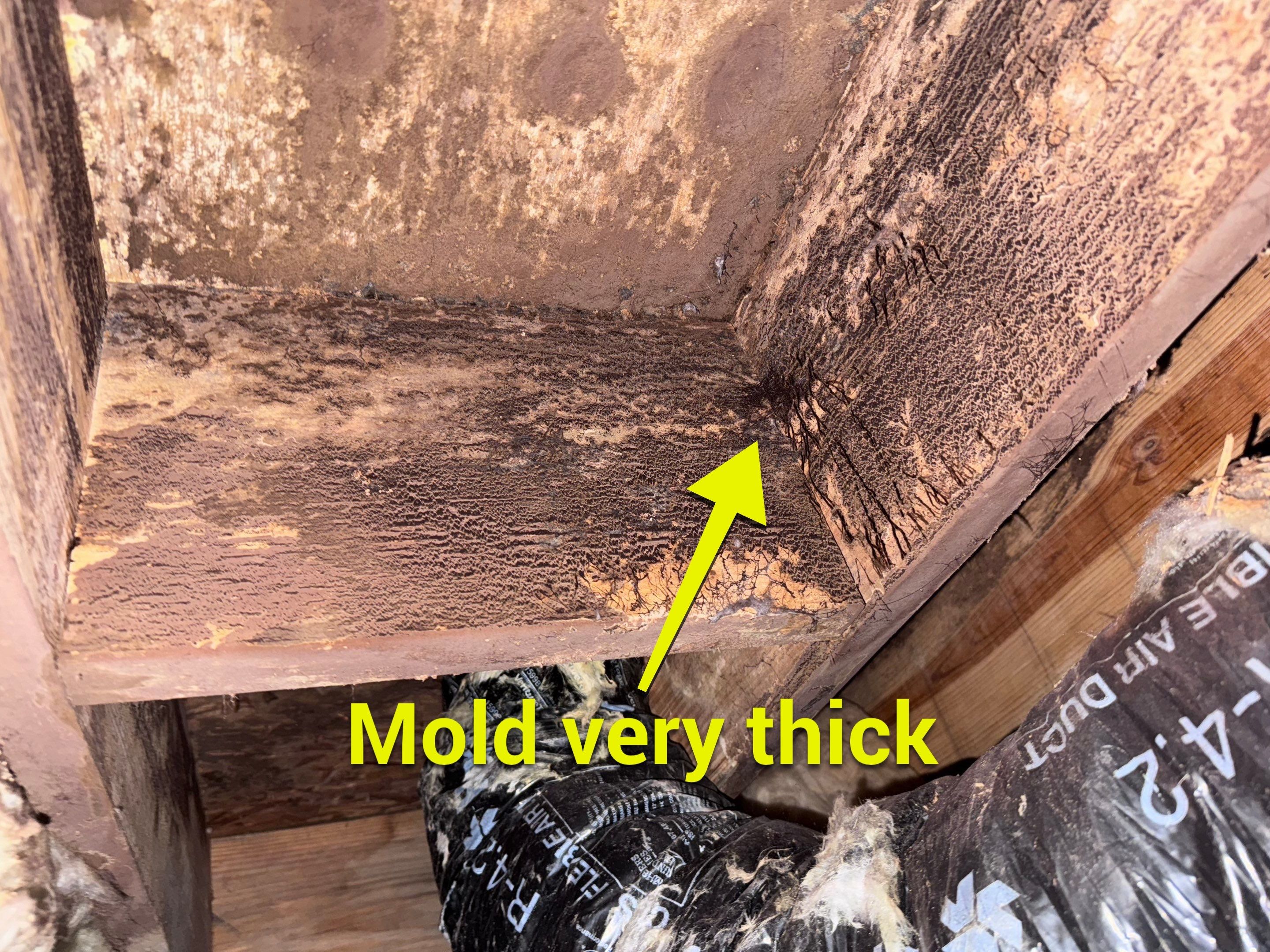 Structural Repairs inludiing sub-floor removal, new floor joists installed, girder replacmeent and dropped girder installed. by Impact Crawlspace