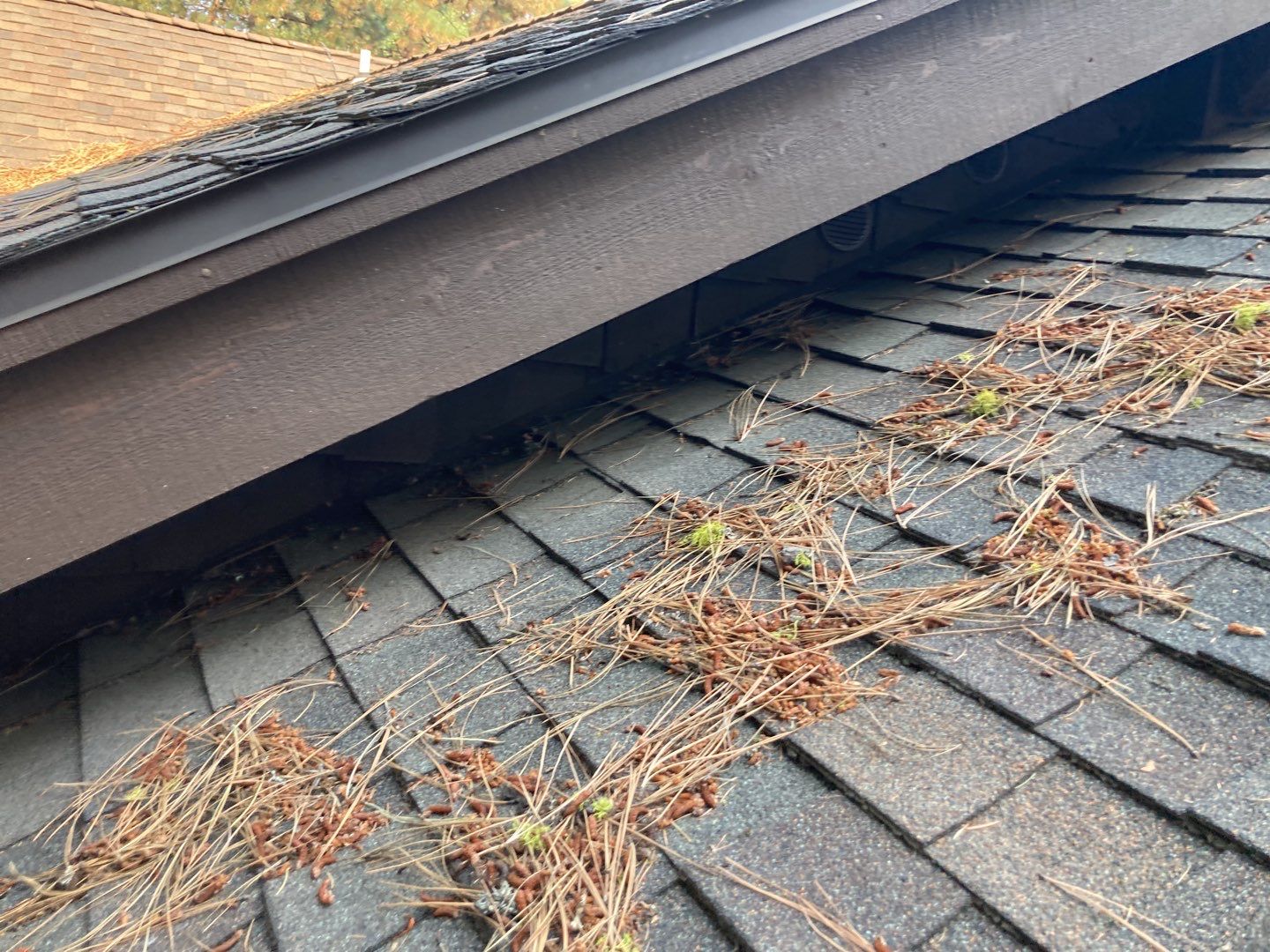 Two story new build gets a CertainTeed Landmark roof in Shenandoah  by ID Roofing LLC