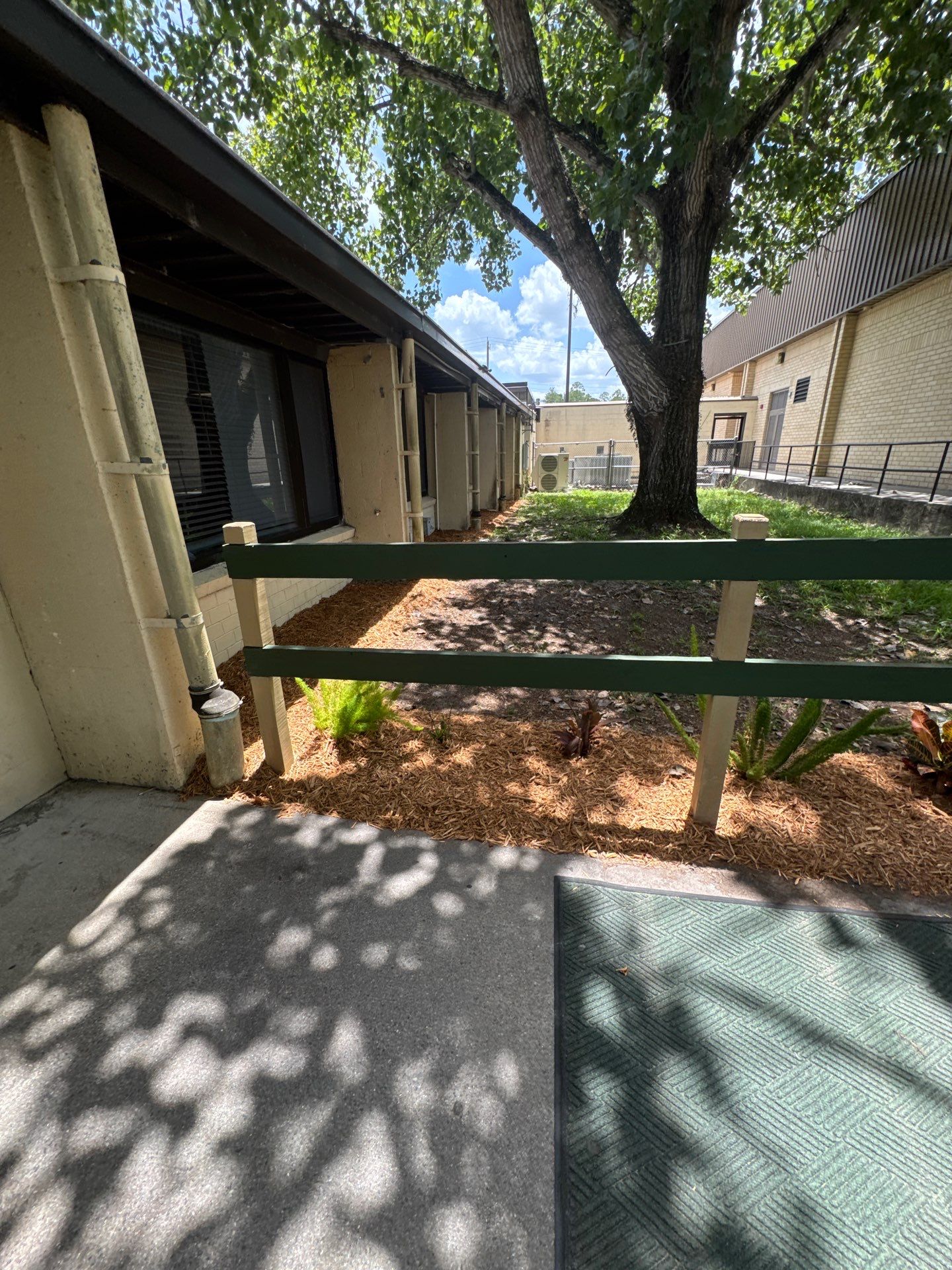 Green Cove Springs Junior High School | Landscape Refresh by ProGreen Services