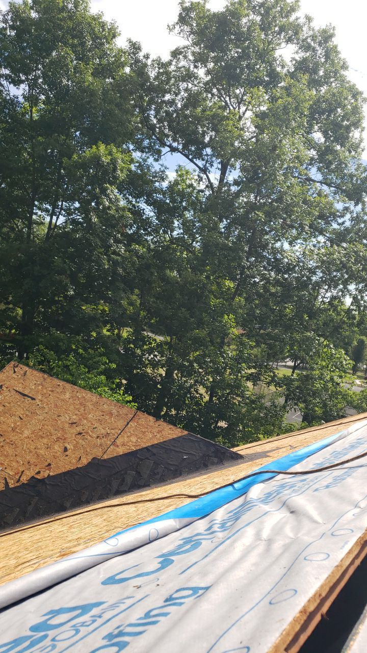 Fairfax Certainteed Landmark Pro Roof Project by RM Banning, Inc.