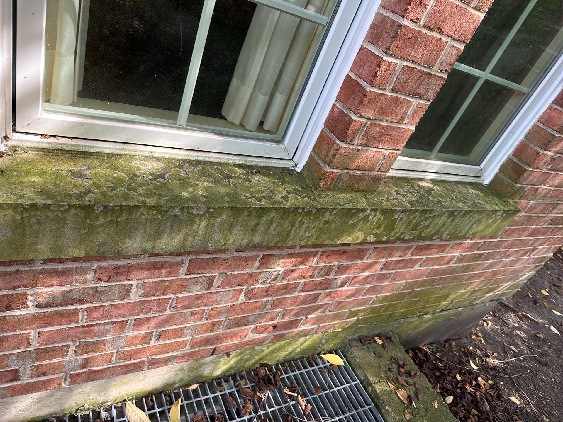 natural stone using Algaecide, soft wash soap by Northern Power Washing LLC.