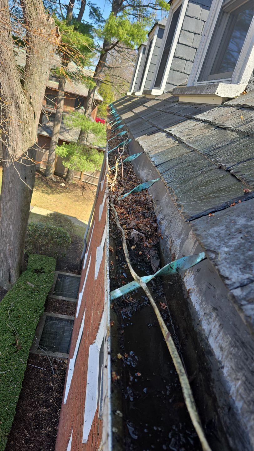 Commercial gutter cleaning Georgia before photo with filled gutters