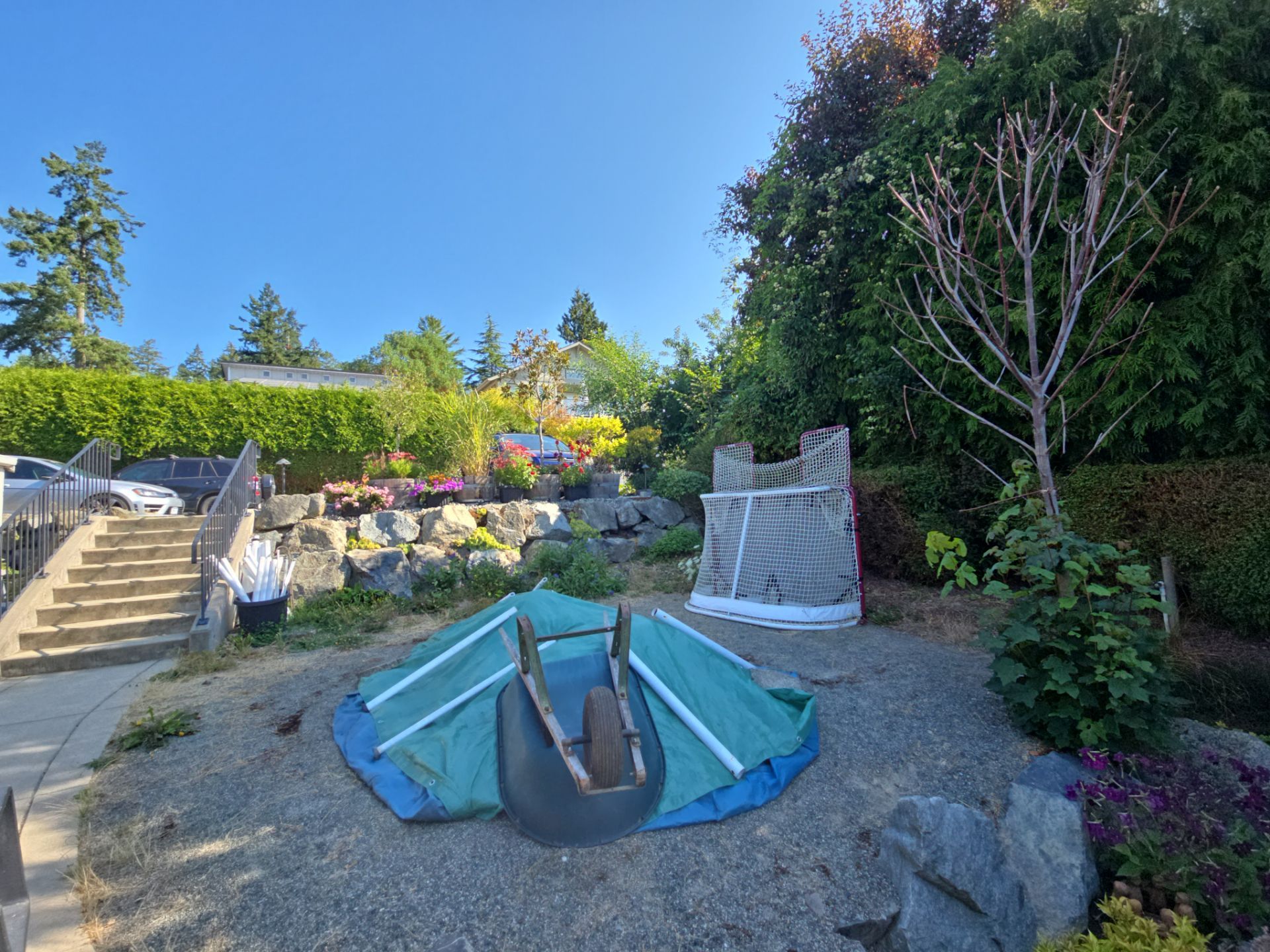 Backyard Transformation — Custom Shed, Paver Patio & Retaining Wall by Habanero Garden and Exterior Care