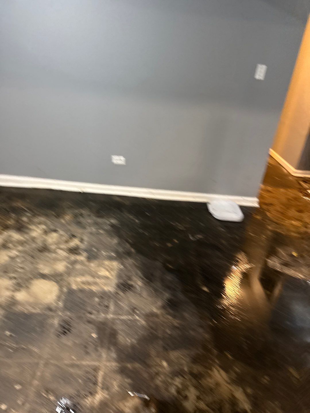 Sewer Drain Back in Basement by Chicagoland Water Medics