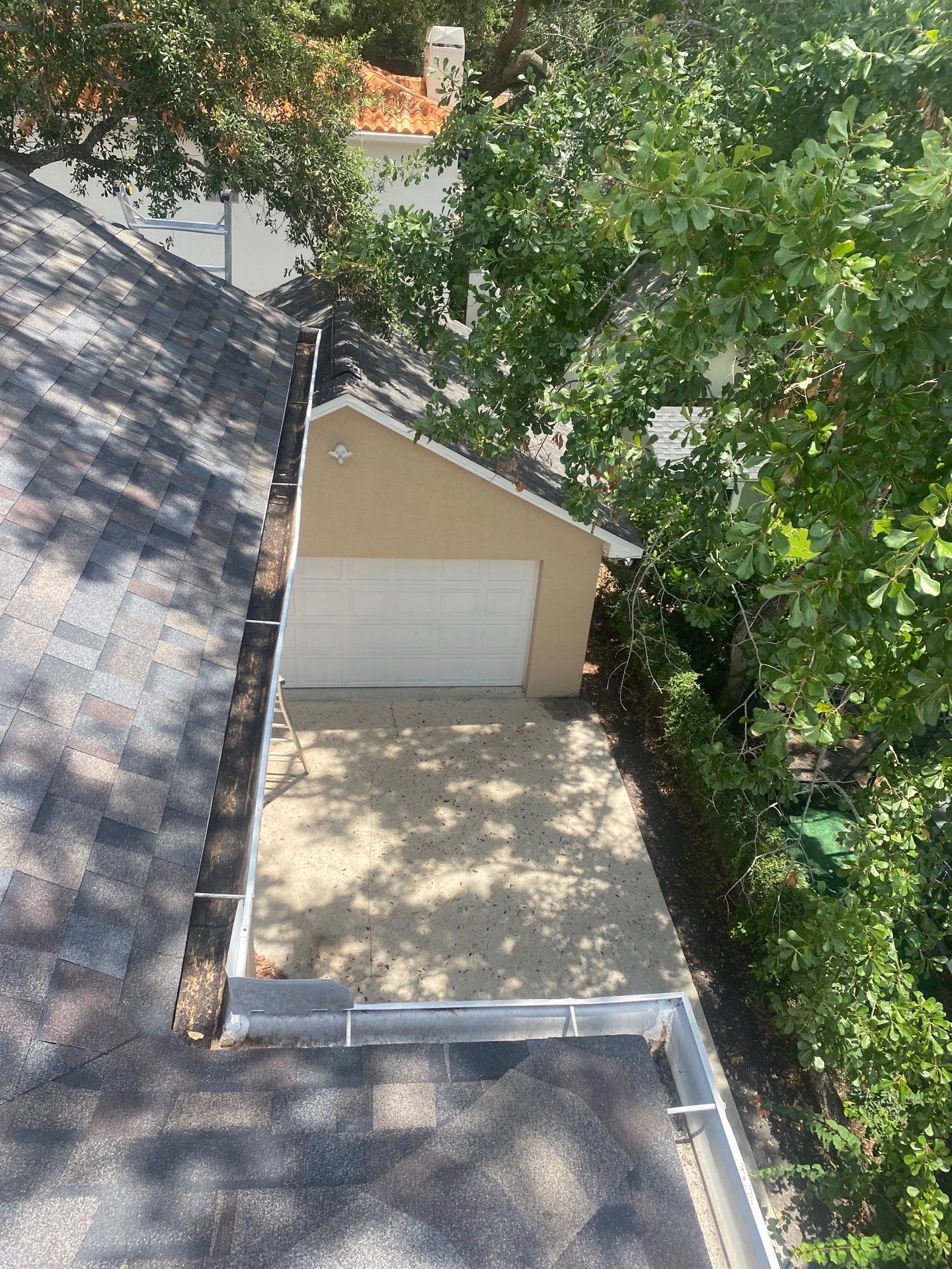 Gutter Cleaning Service in Tampa FL by Gutter Professors