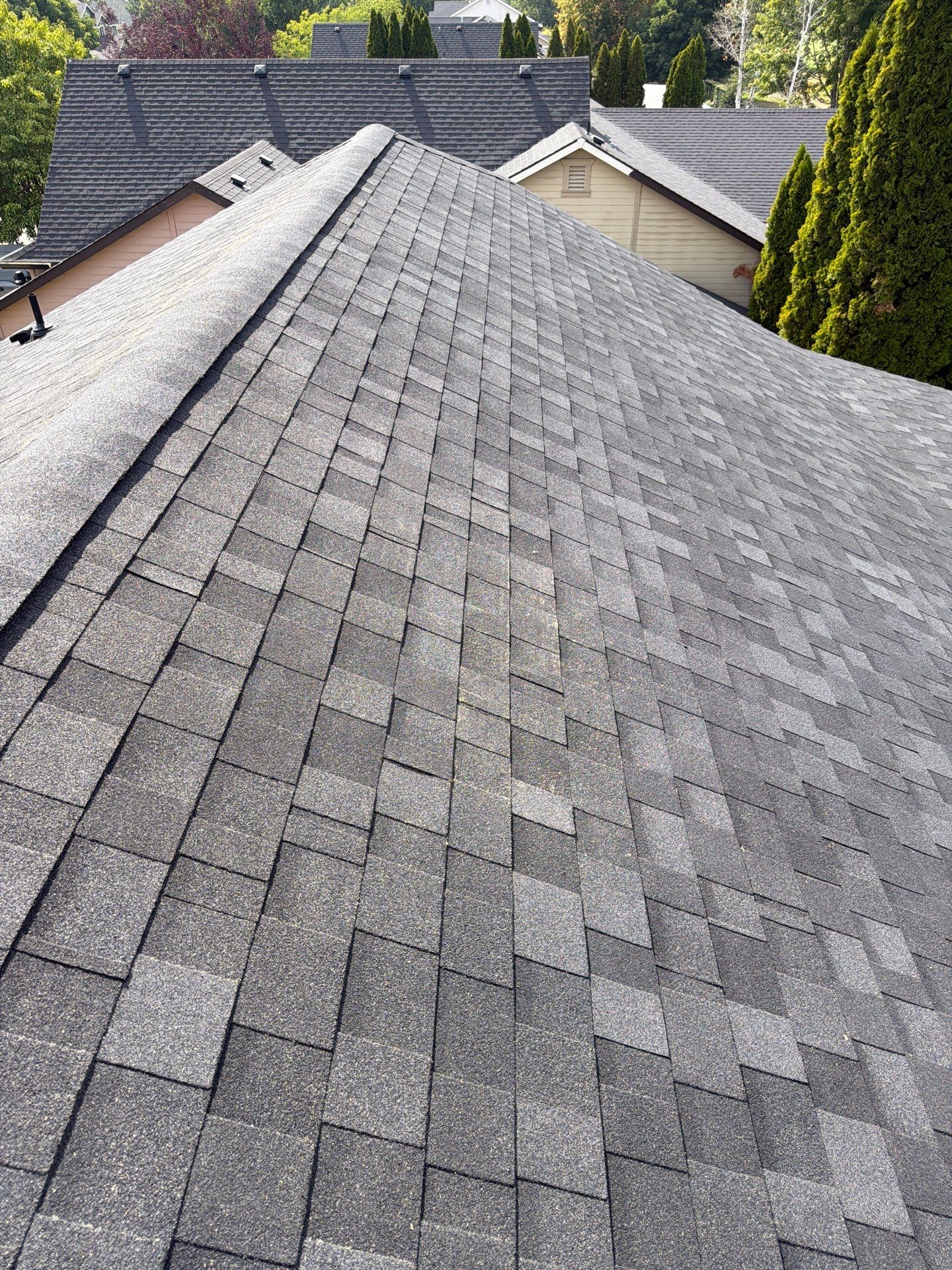 Residential Architectural Shingle Roof Replacement in Boise Idaho by Olive Roofing