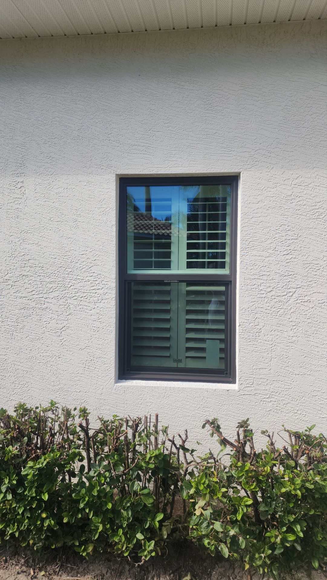 Window Installation using PGT Vinyl White-Bronze by Windows For Life 