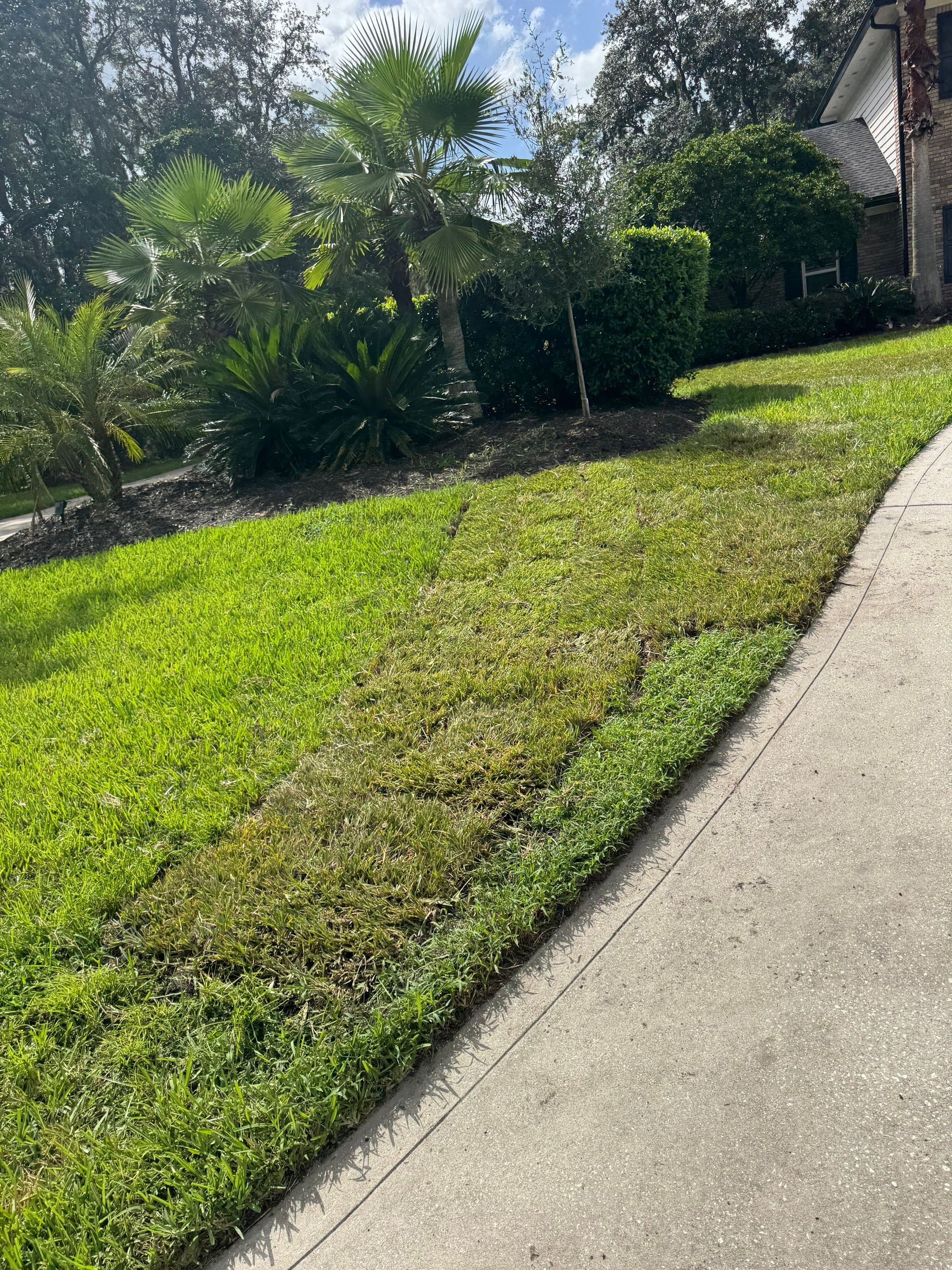 Deerwood Resident | Sod Installation by ProGreen Services