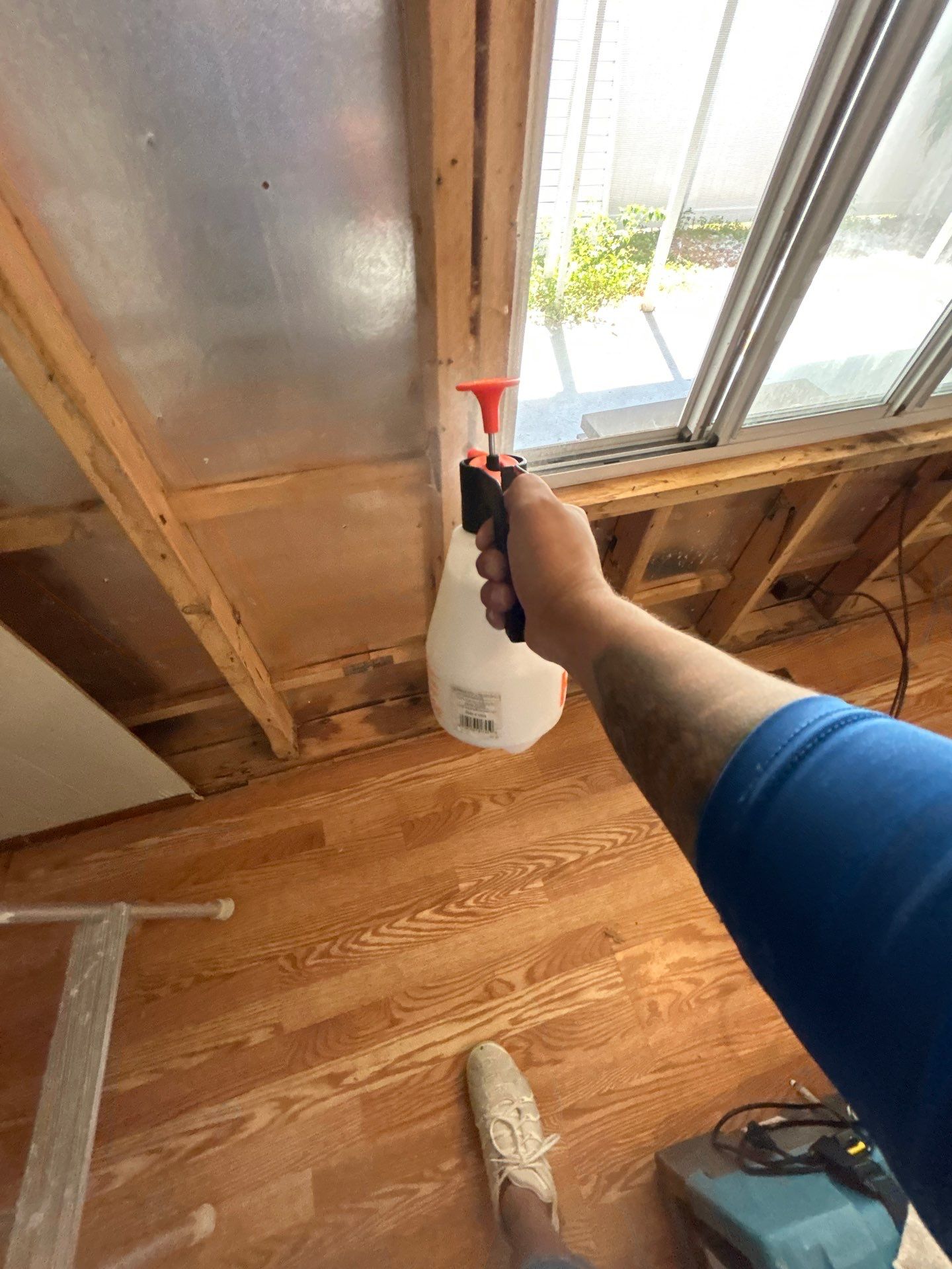 Mold Remediation Bradenton by Ampm Restoration Services 