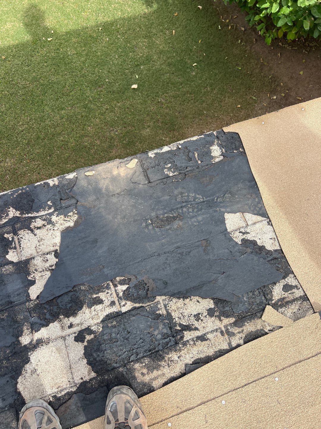 Birchwood Shingles by Reimagine Roofing