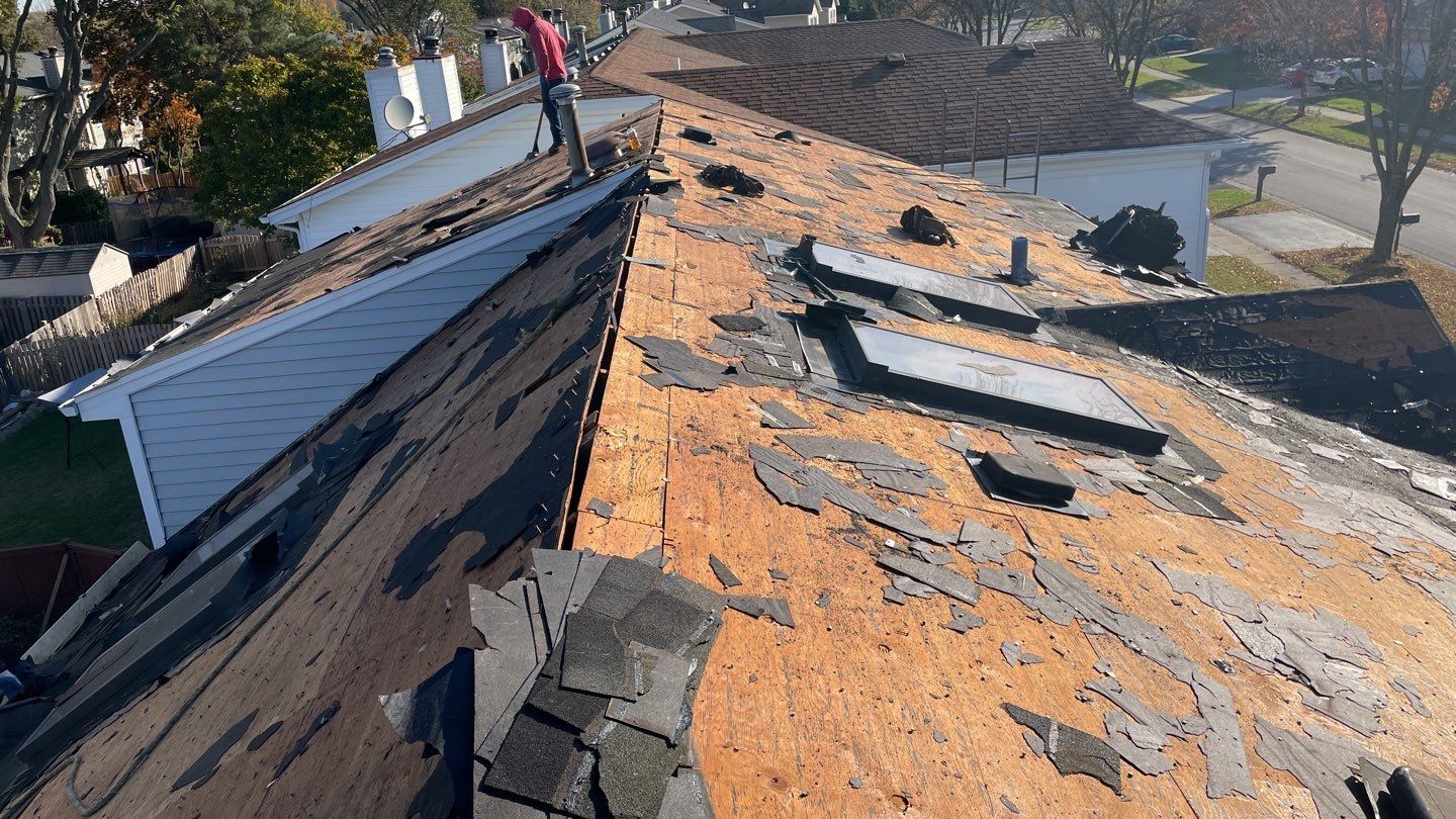 Multi-family unit roof replacement. using GAF Timberline HDZ by Pro Home Services Inc