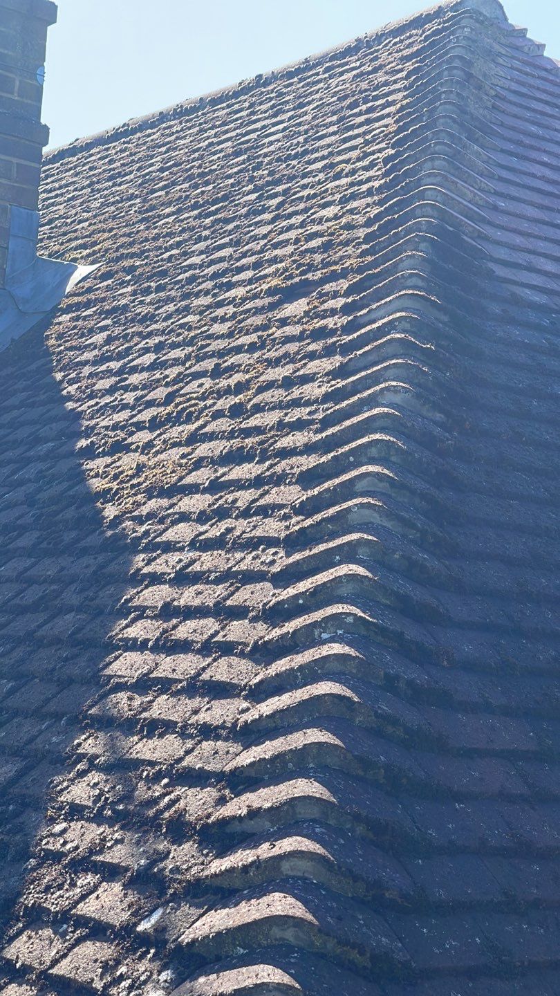 Exterior Clean - Roof - Patio - Driveway using Honda 15lpm Low Pressure Washing Machine by Ges Exterior Cleaning ltd