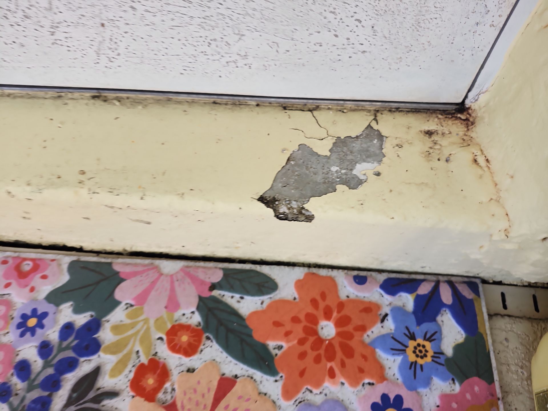 Project in Sarasota by Sunbelt Home Solutions