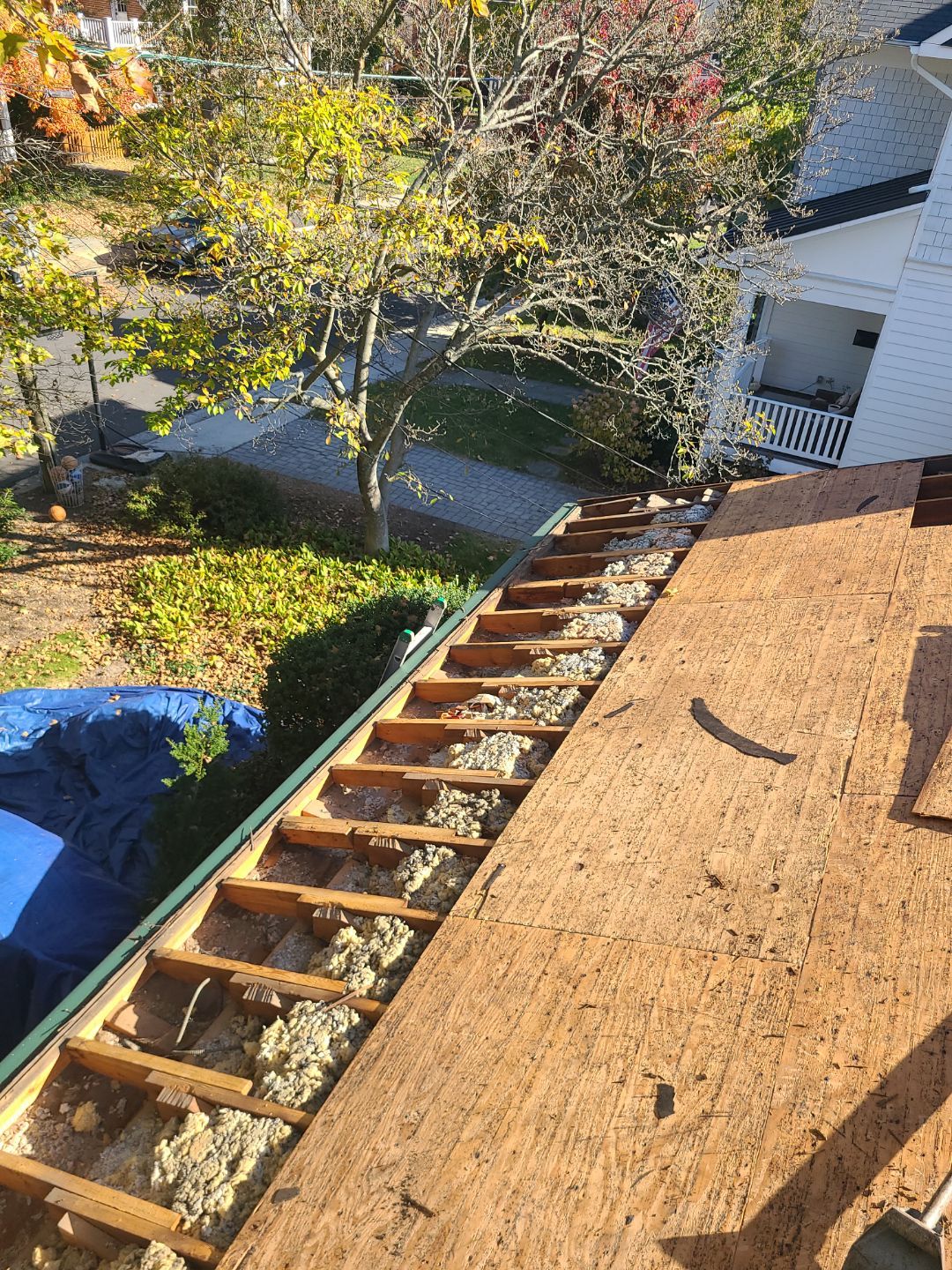 Arlington: Residential Roof Replacement with CertainTeed Landmark Pro Designer Shingles in Max Def Charcoal Black by RM Banning, Inc.