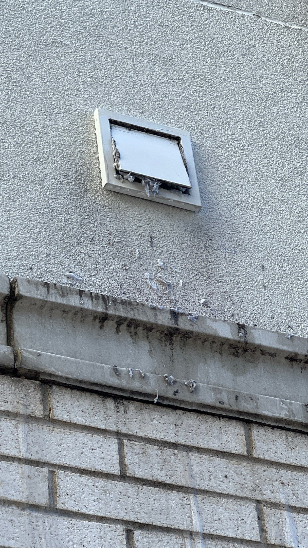 Dryer Vent Cleaning in Pittsburgh, PA by Superior Air Duct Cleaning