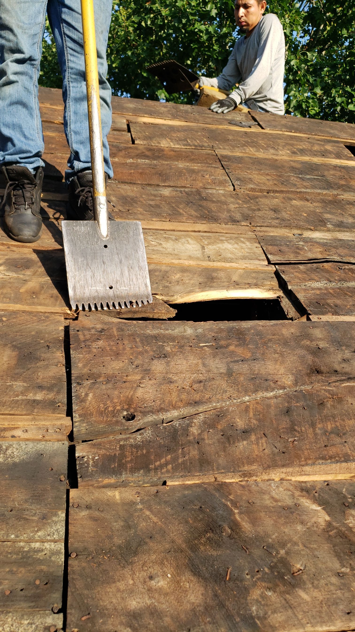 ATLAS PINNACLE COLOR: HEARTHSTONE DRIP EDGE: WHITE by Eagle Eye Roofing