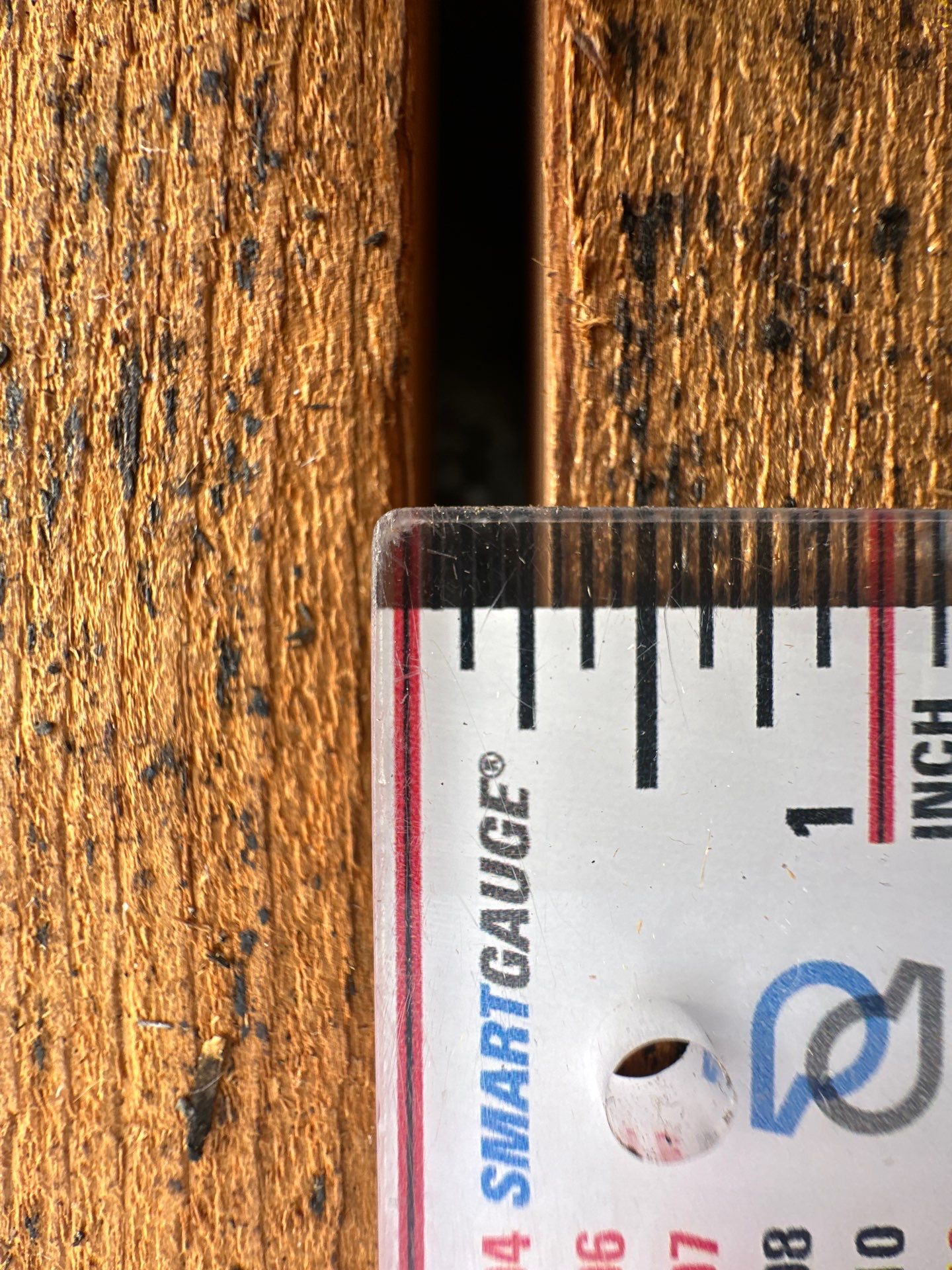 Redeck with IKO Dynasty Summit Grey by Becker Roofing and Exteriors