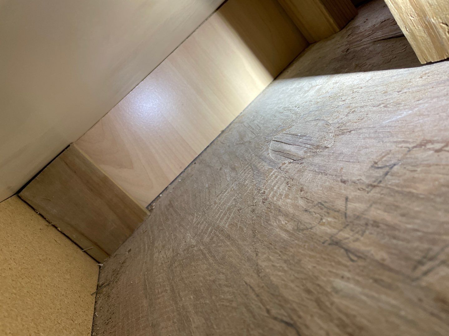 Mold Damage Project in Littleton by Accountable Home Services