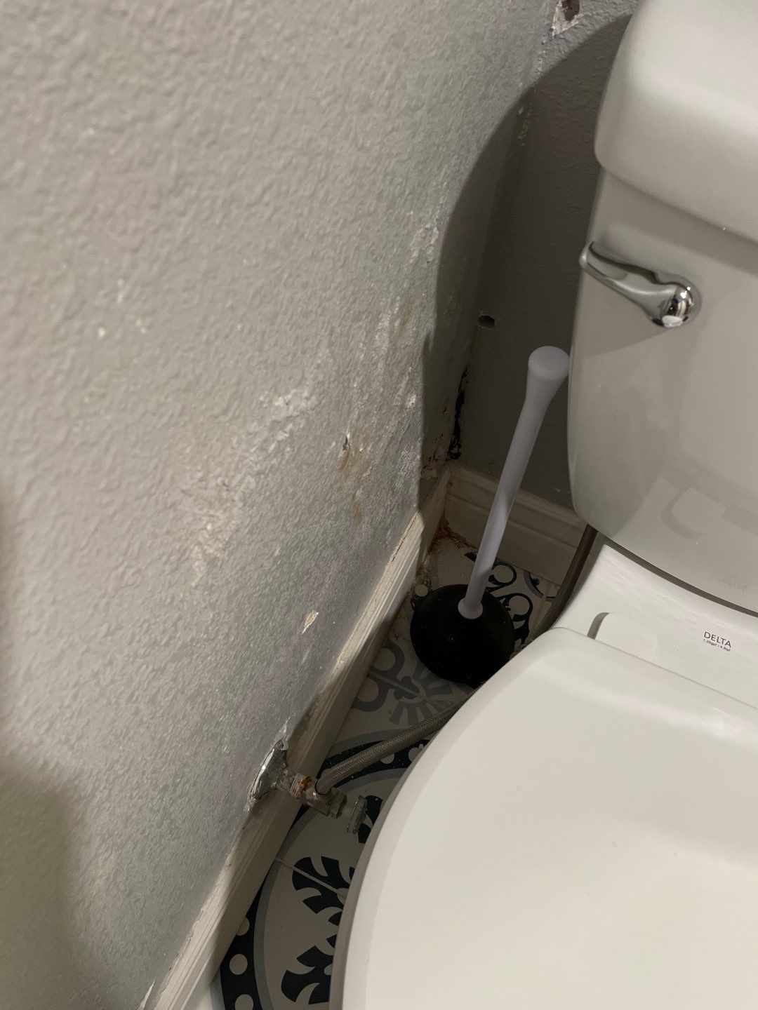 Mold Remediation by Accountable Home Services