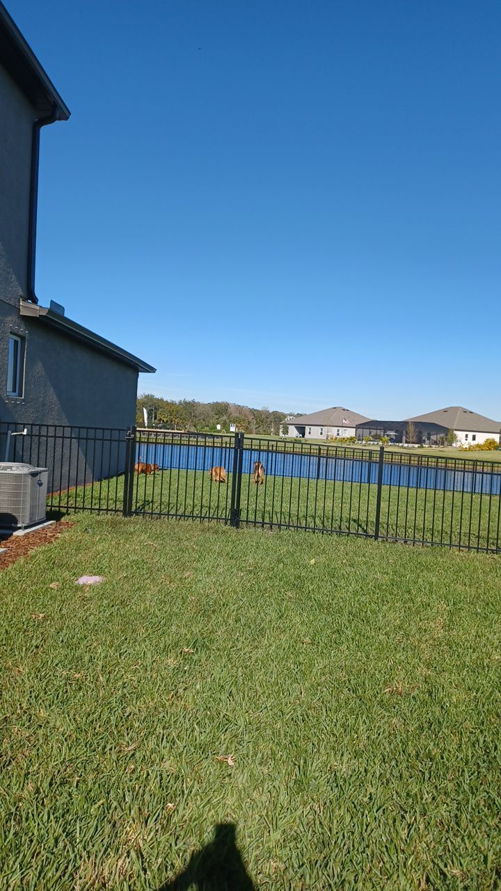 Parrish, FL 4 ft. Tall 3-Rail Black Aluminum  by Asap fence and gates, LLC