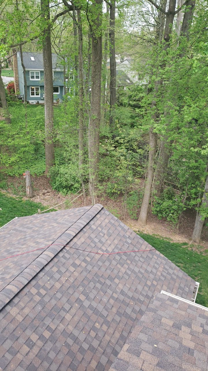 Burke: CertainTeed Landmark Pro Designer Shingles in Max Def Shenandoah by RM Banning, Inc.