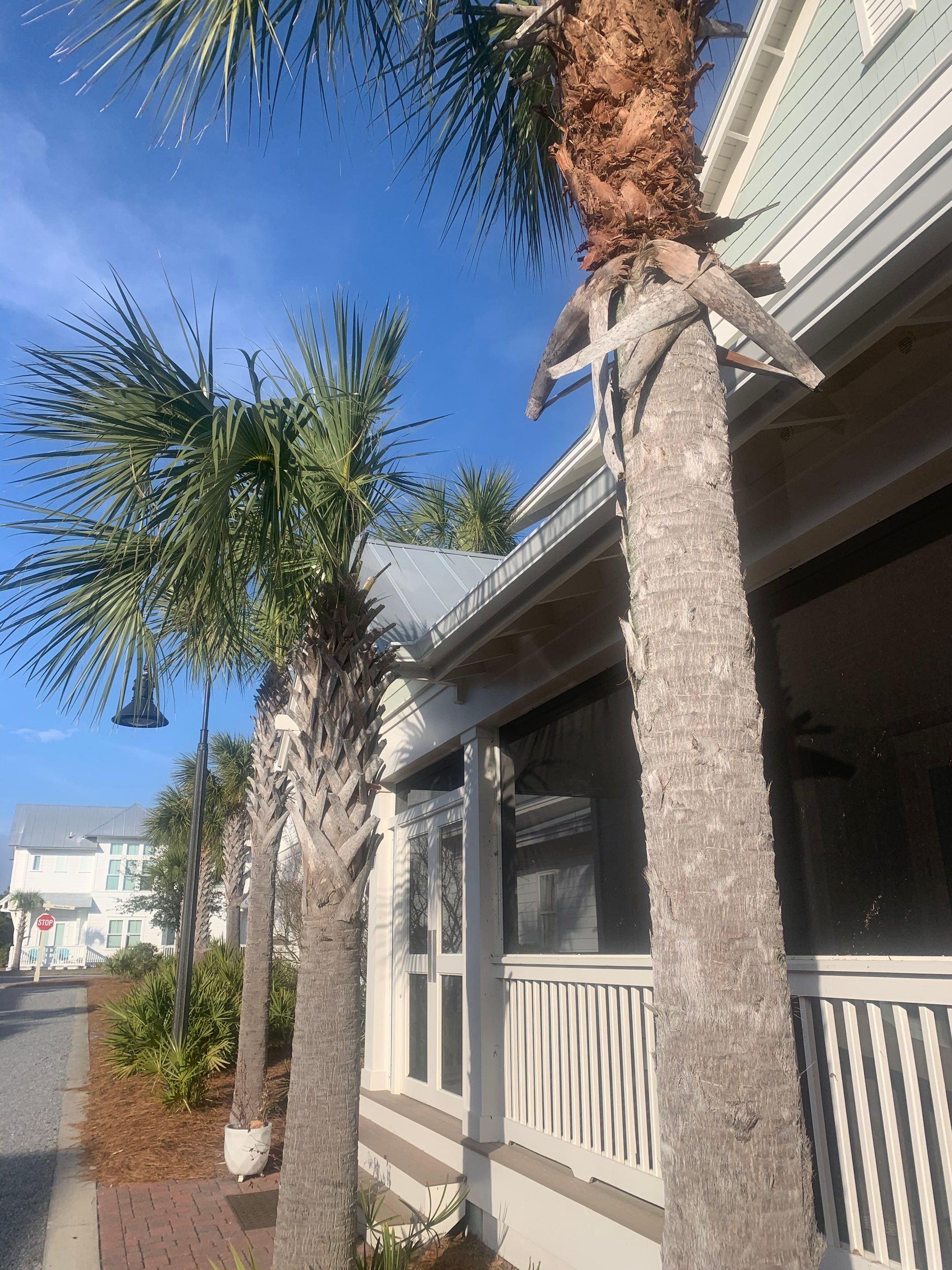 New Downspouts Installation in Rosemary Beach, FL by Gutter Professors