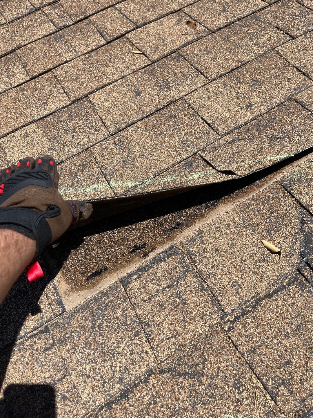 Yessenia's Full Re-roof by All Storm Roofing & Construction