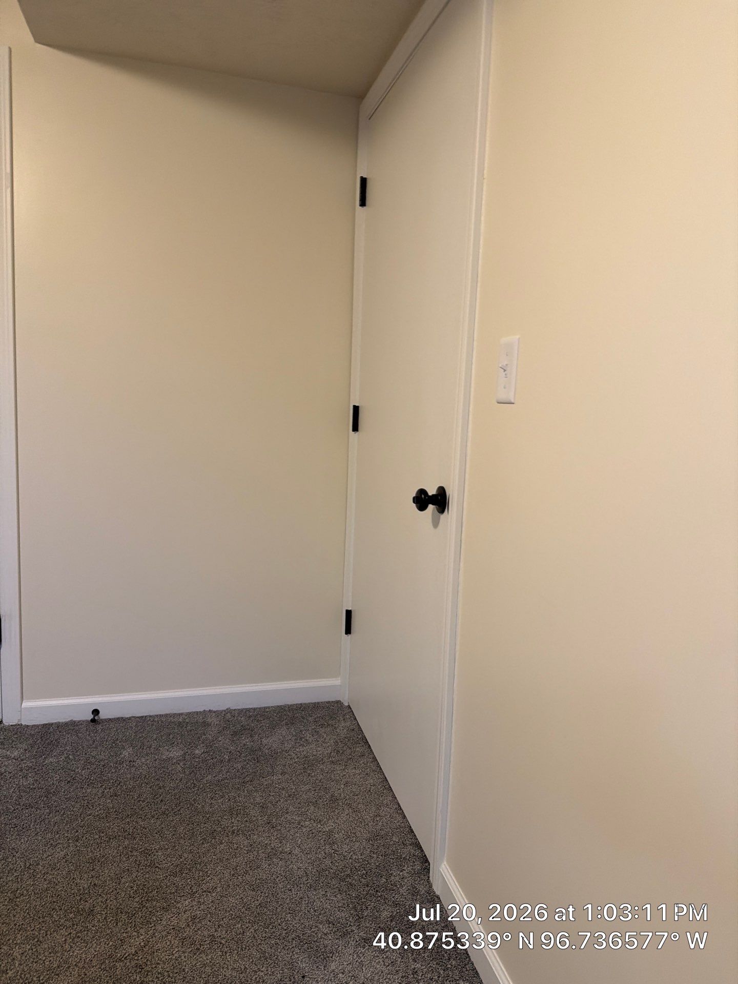 Modern Basement Interior Renovation with New Doors and Carpeting by CompanyCam Sales Demo