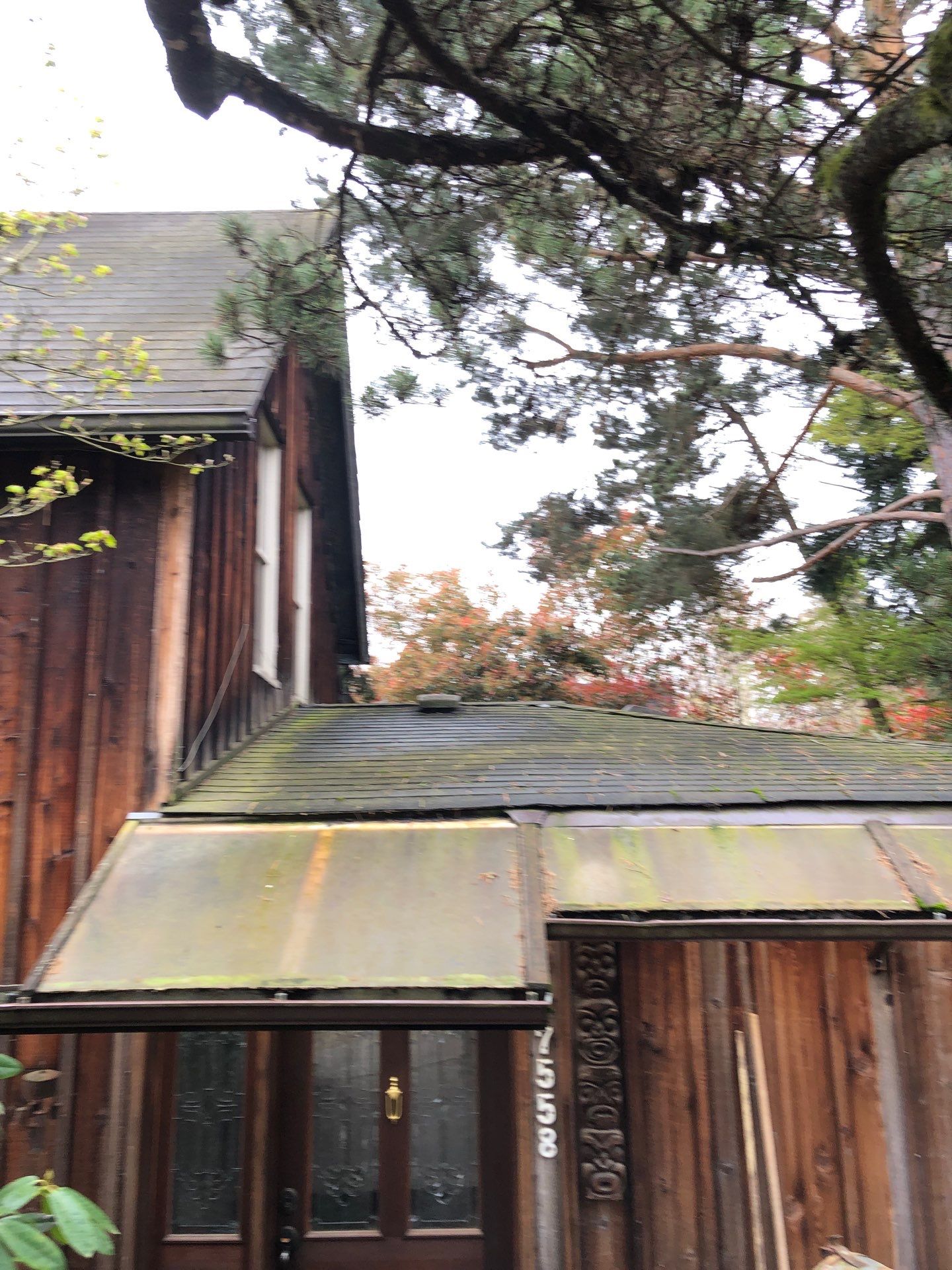 Project in Seattle by Peaks and Valleys Construction