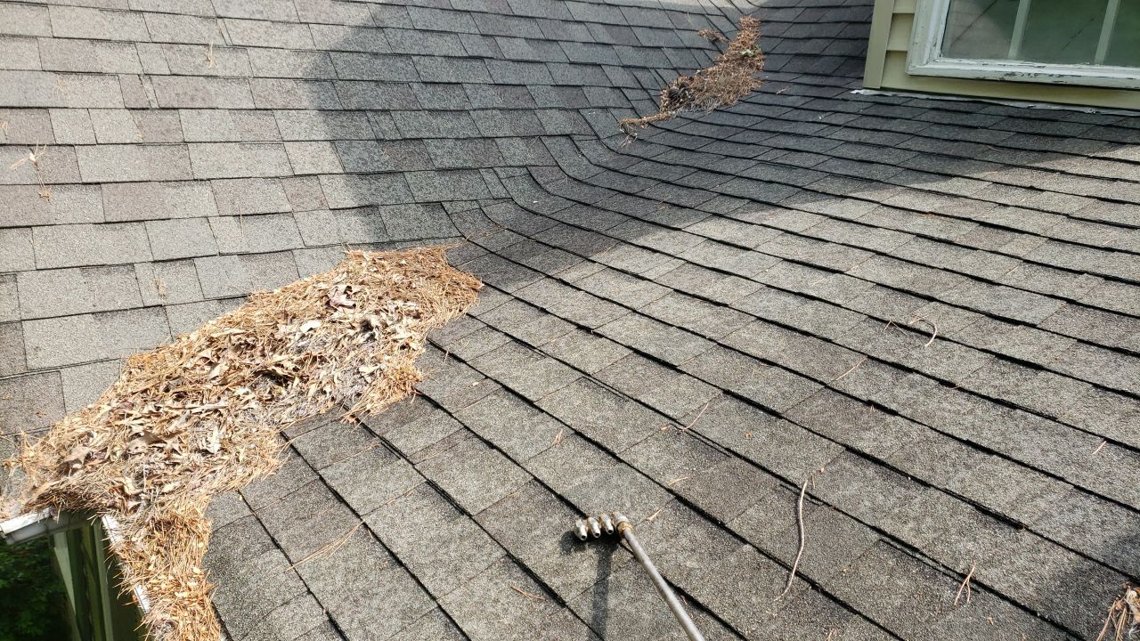 House Wash using cleaner by Power Wash Masters LLC