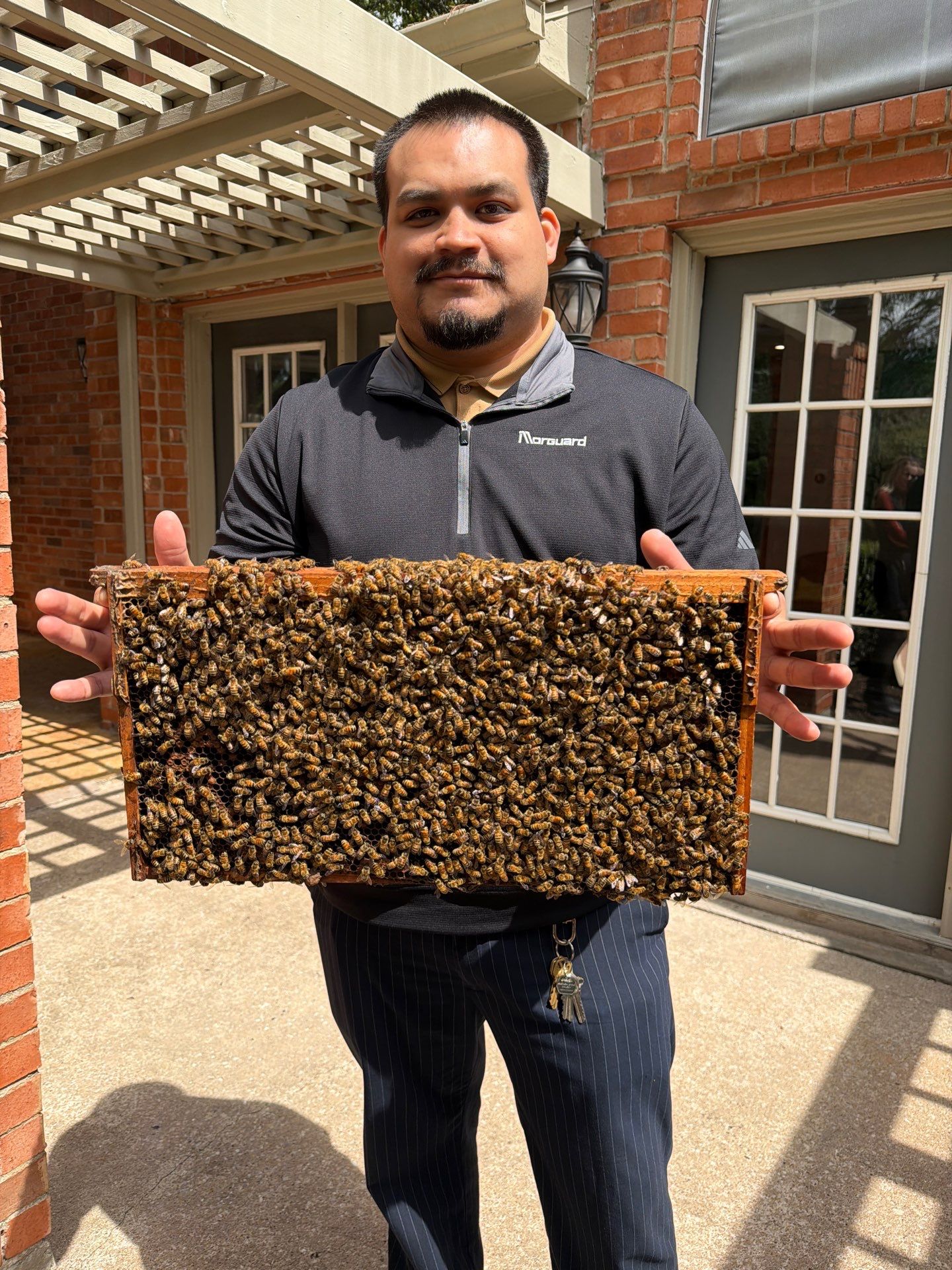 Apartment Retreat for Honey Bees in Garland by Rockwall Honey Bee Company