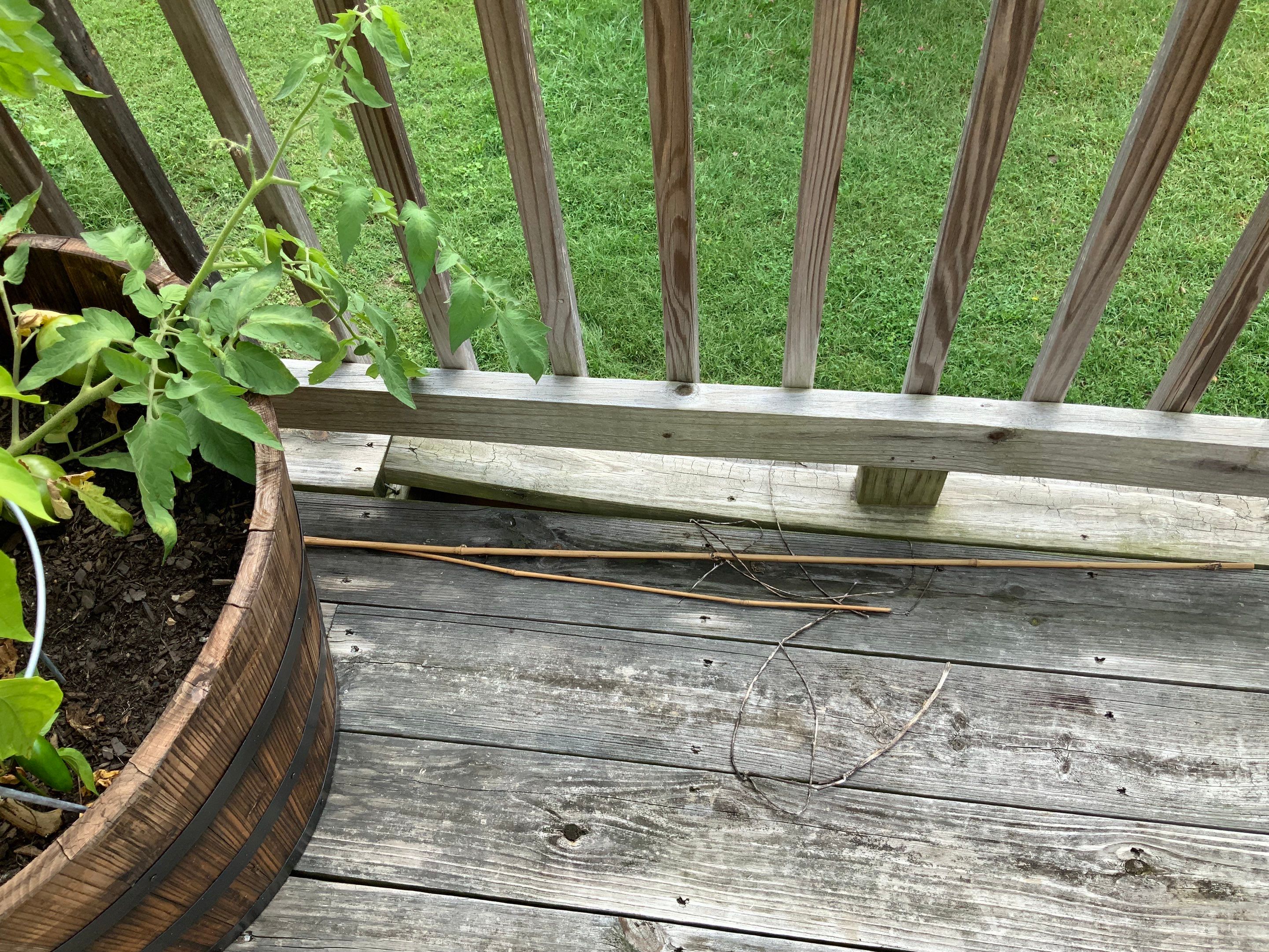 Deck Repair using Olympic Elite stains by Alpha Design Services