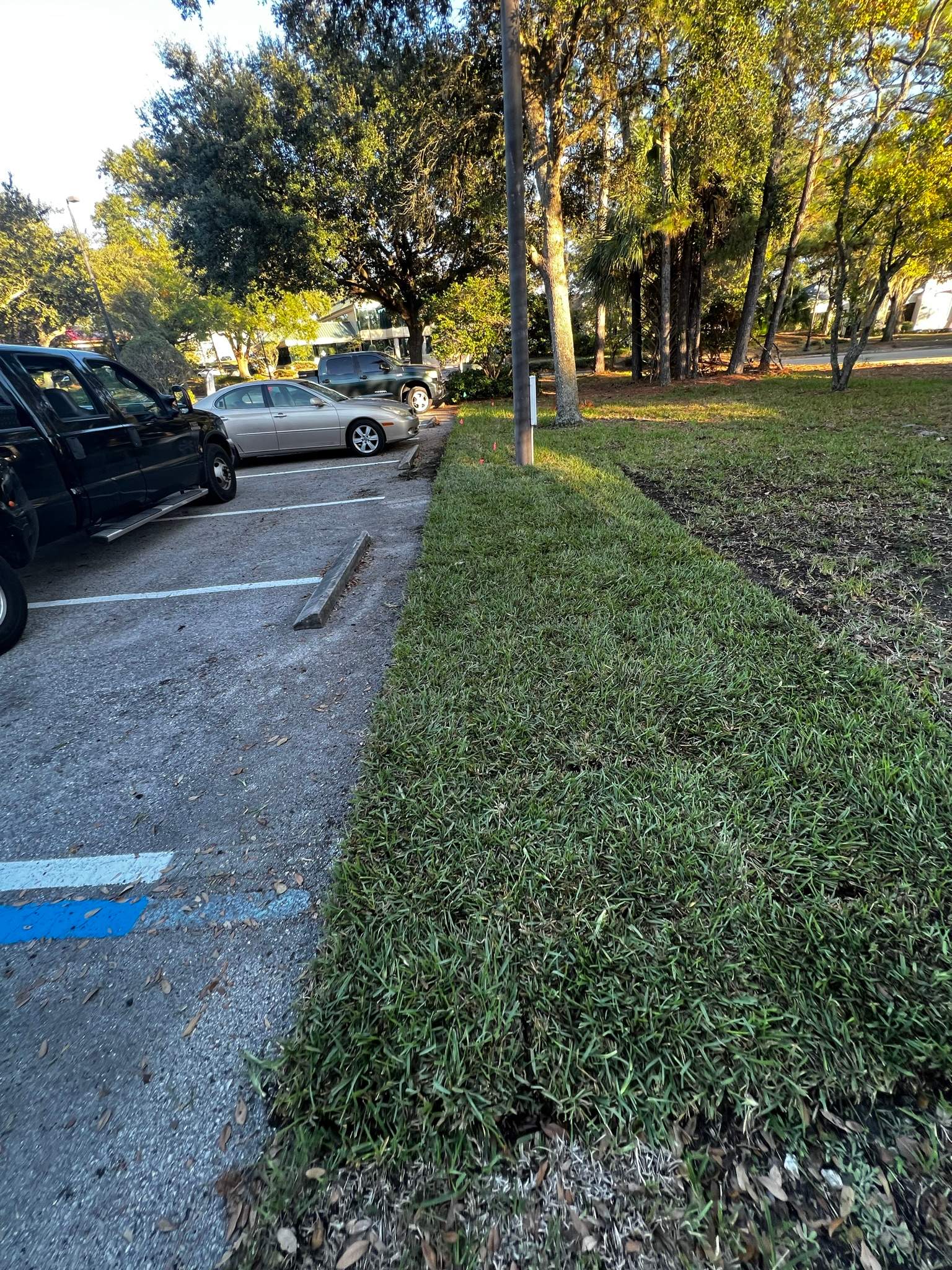 Landscape Project | Simonic Accounting by ProGreen Services