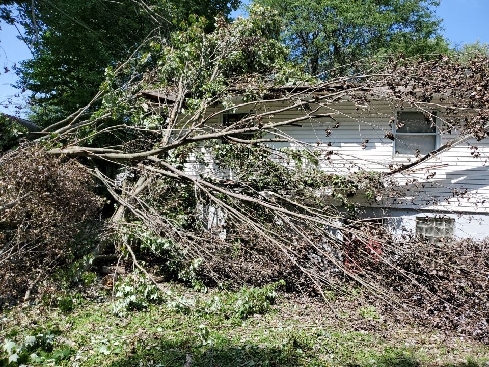 Storm Damaged Tree Removal  by Mike Jones & Sons Tree Service LLC 