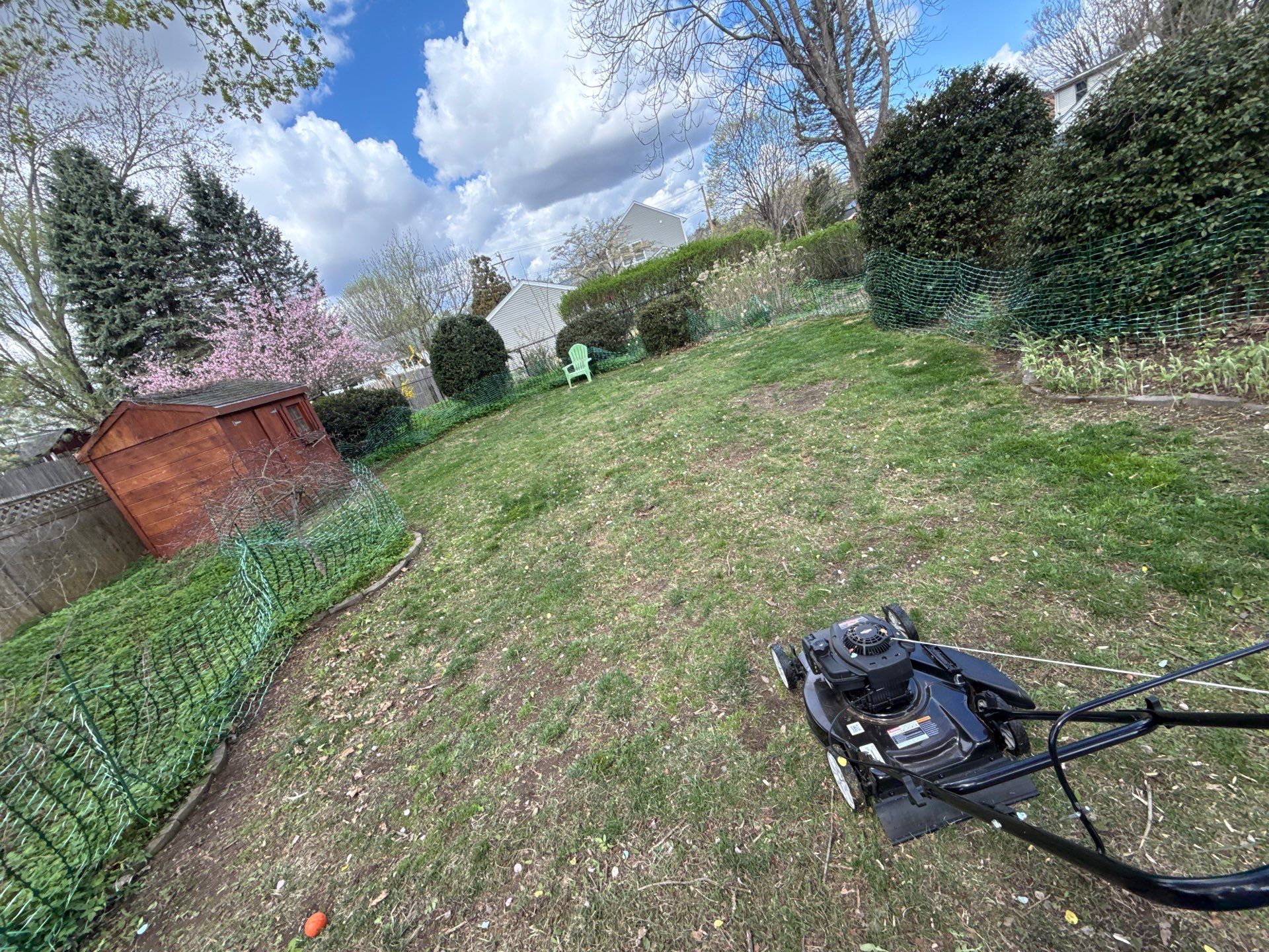 Comprehensive Lawn Care and Hedge Trimming in New Haven by Diamond Image LLC