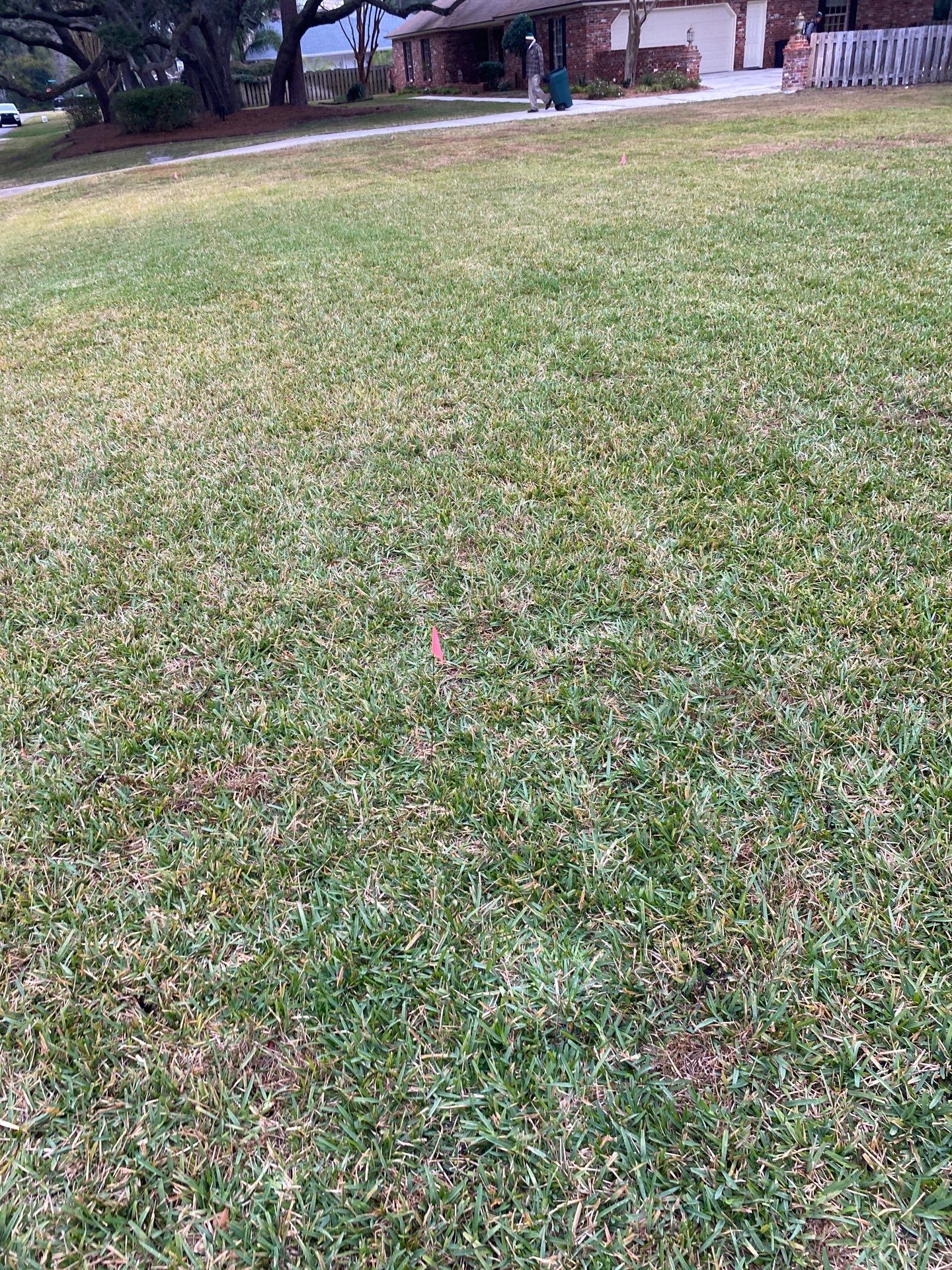 Deerwood | Live Oak Planting Project  by ProGreen Services