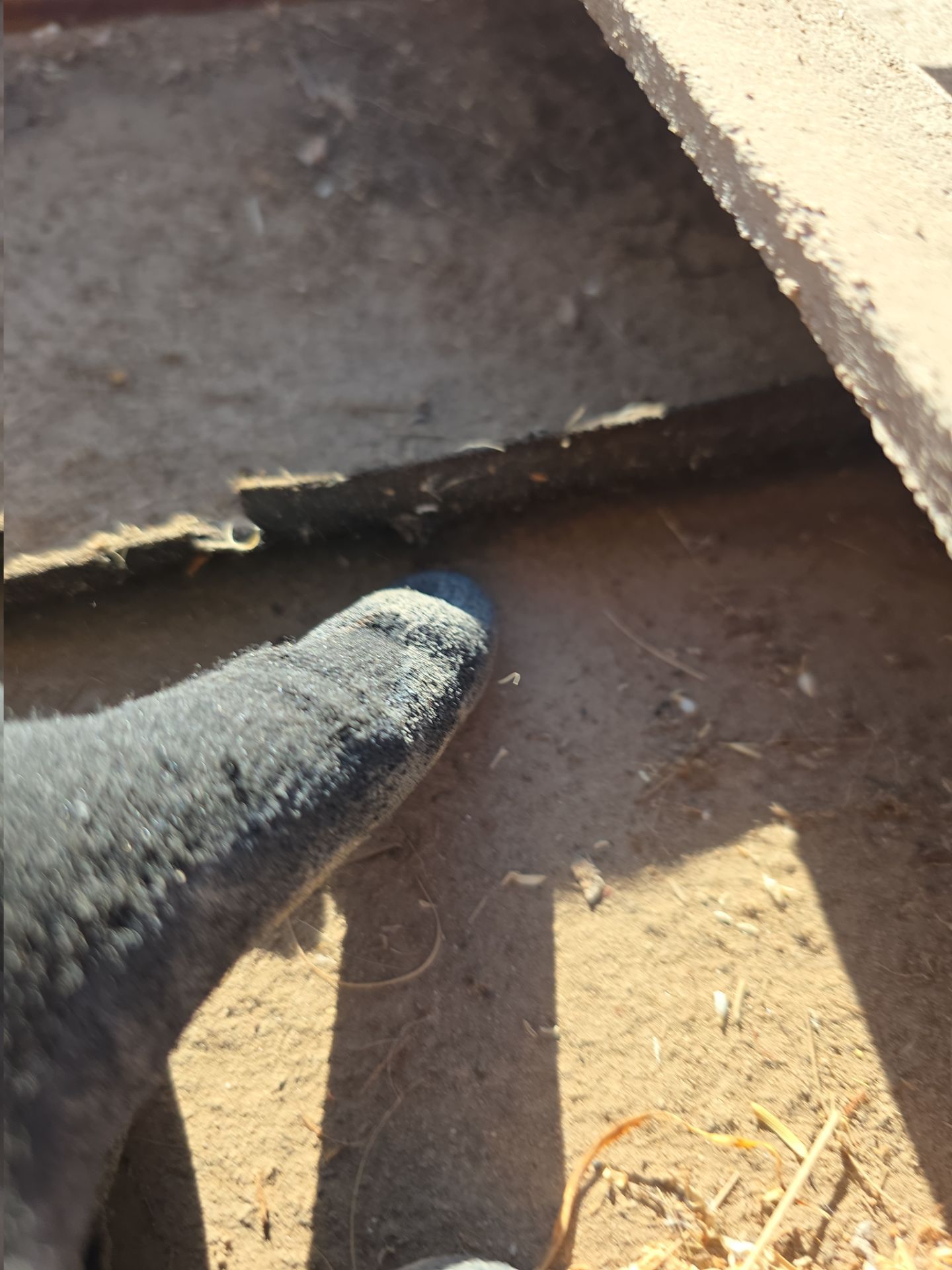 New tile reset for this beautiful home in Chandler by Weather-Tite Roofing