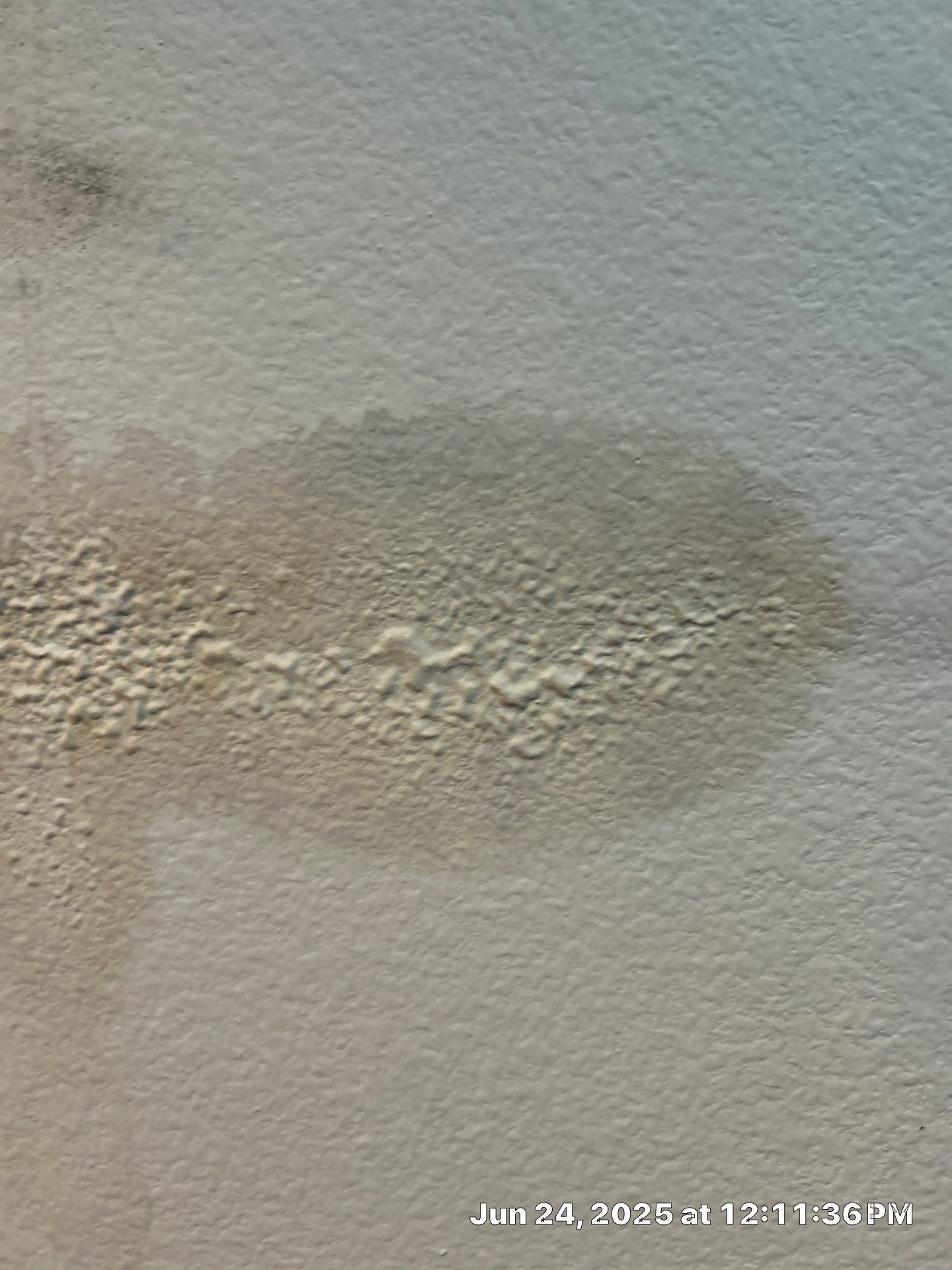 Water Damage Restoration In Sarasota by Ampm Restoration Services