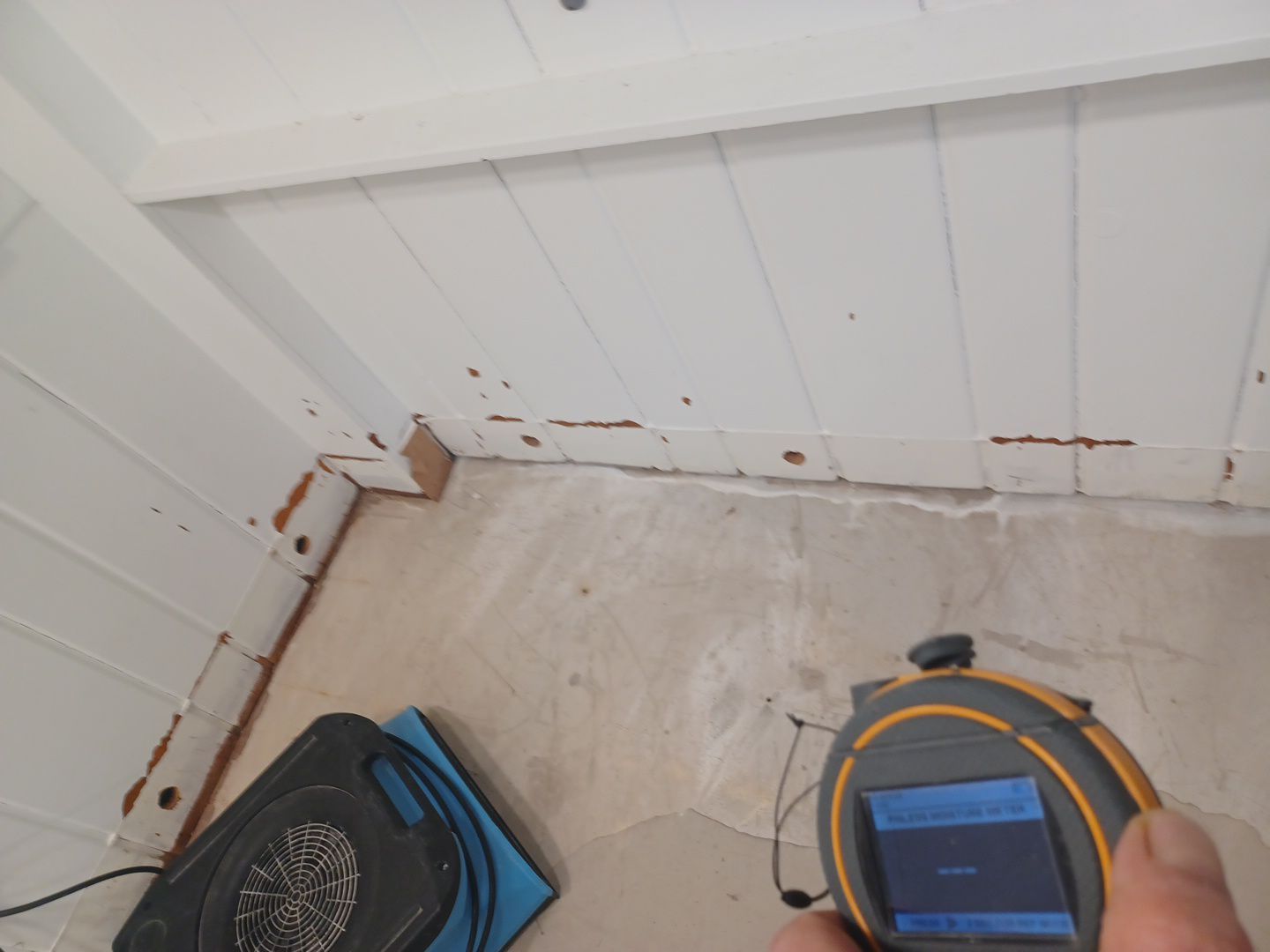 Project in Royal Oak by EzDry Water Mitigation & Property Restoration